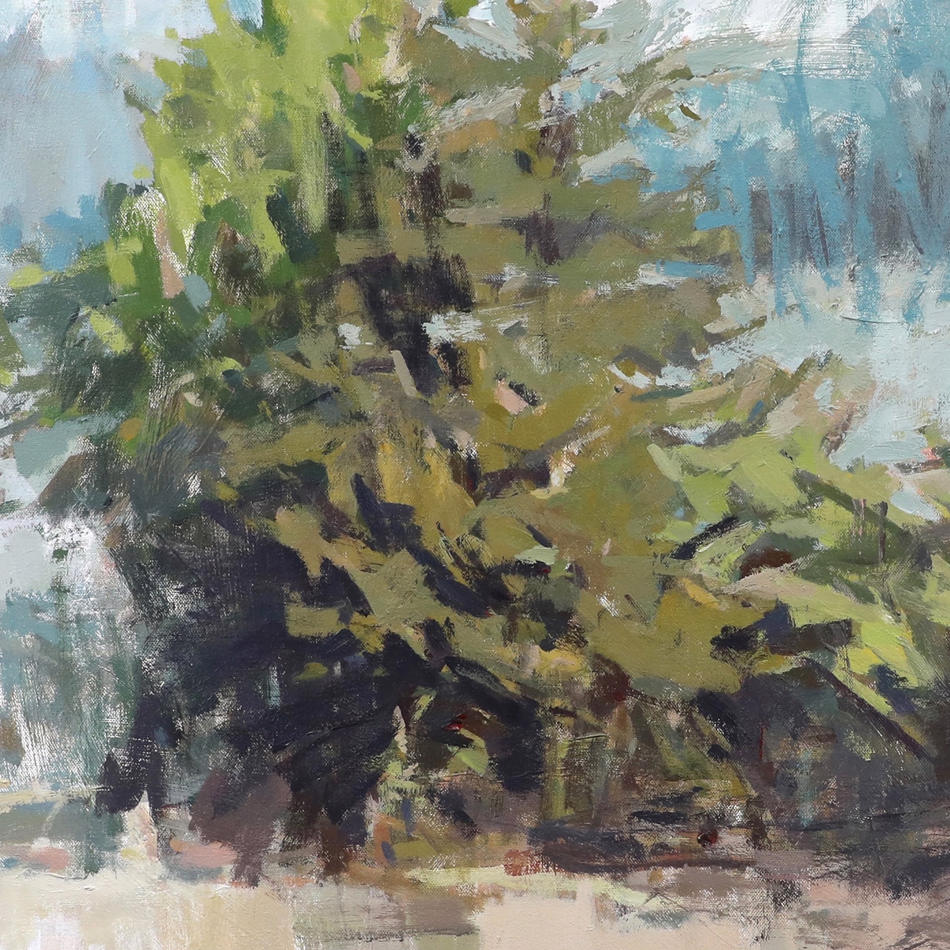 Piney Grove by Scotty Peek