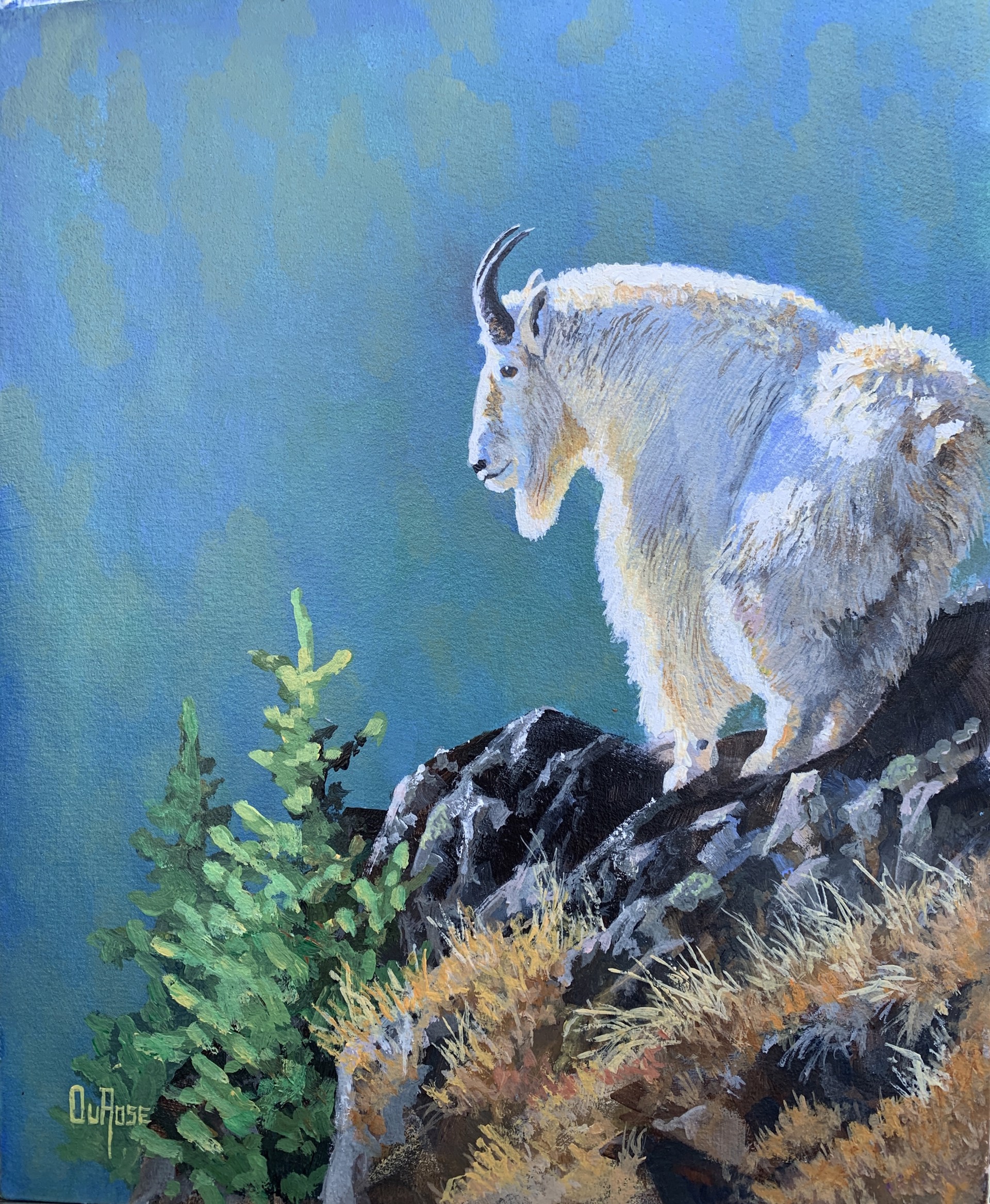 Mountain Goat by Ed DuRose
