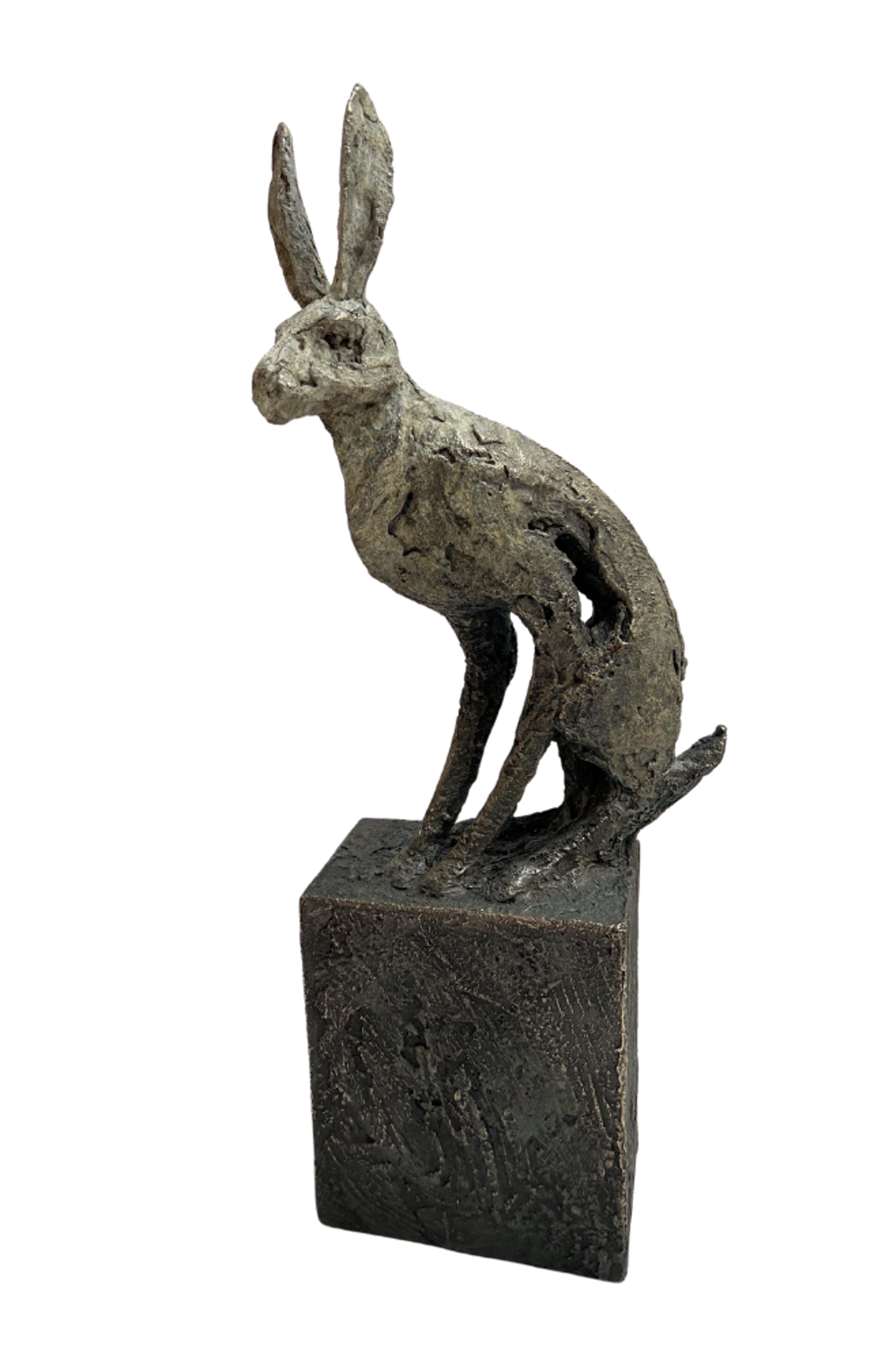 The Jack Rabbit by Gustavo Torres