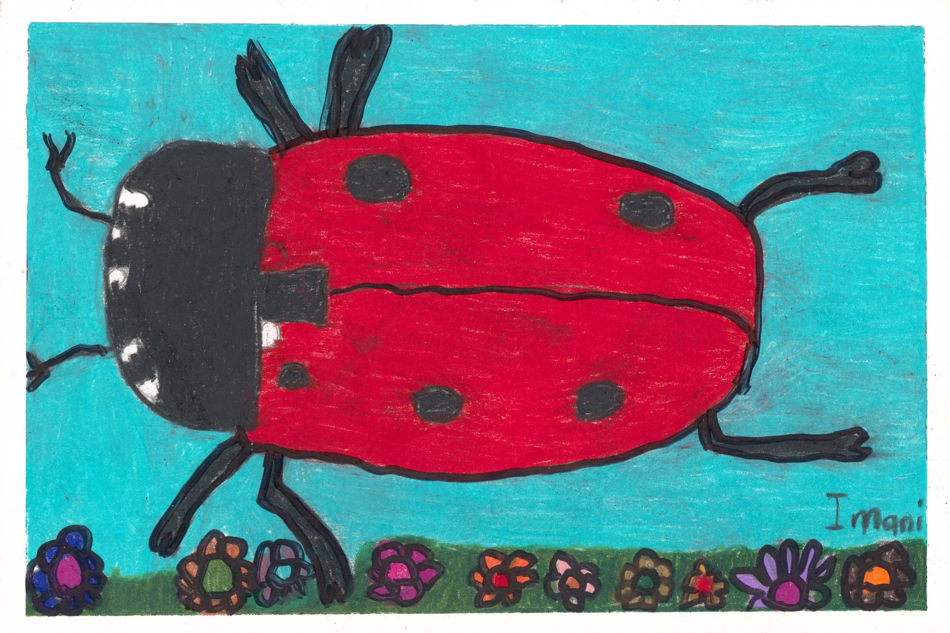Ladybug by Imani Turner