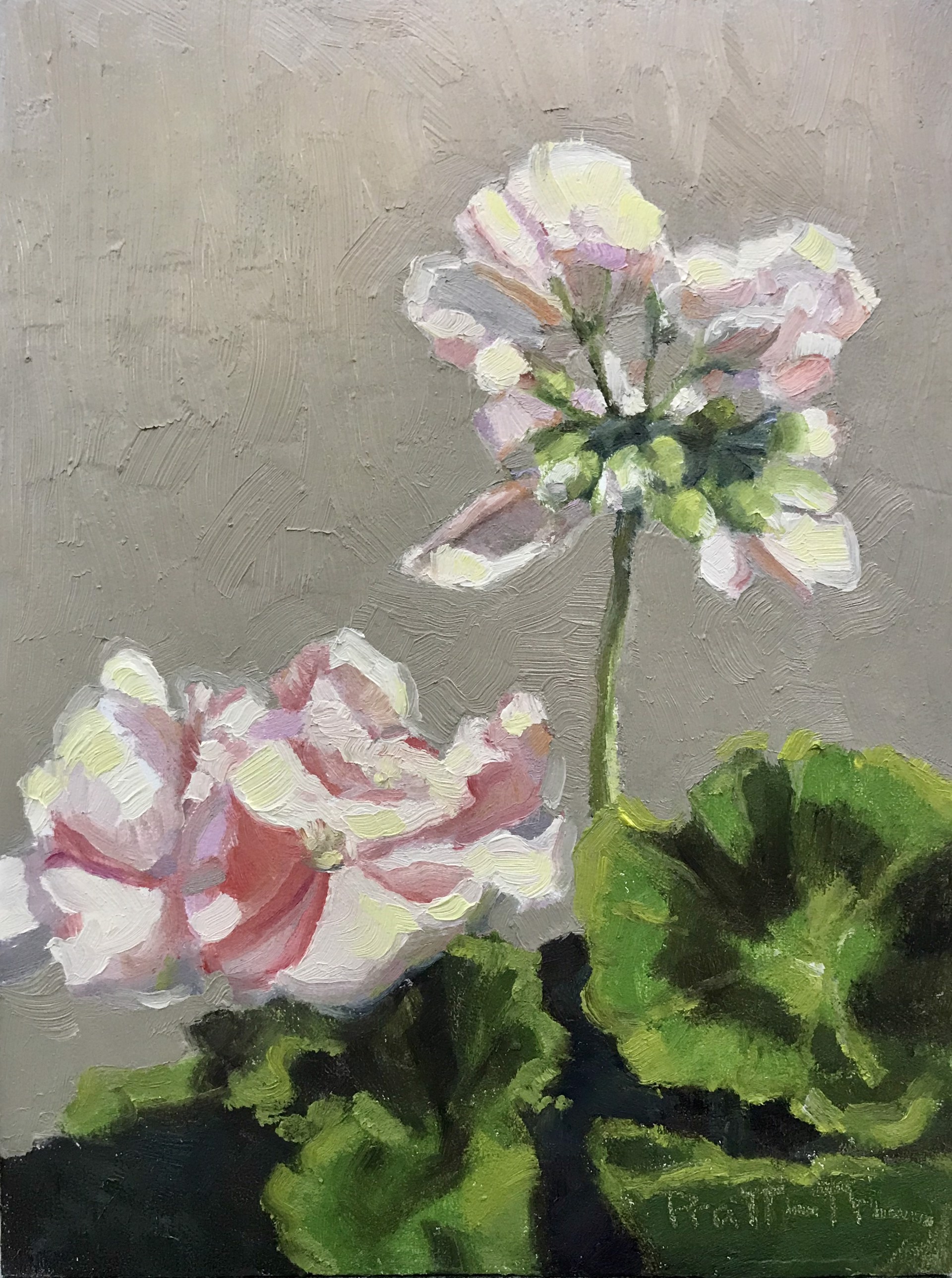Pale And Pink by Leslie Pratt-Thomas