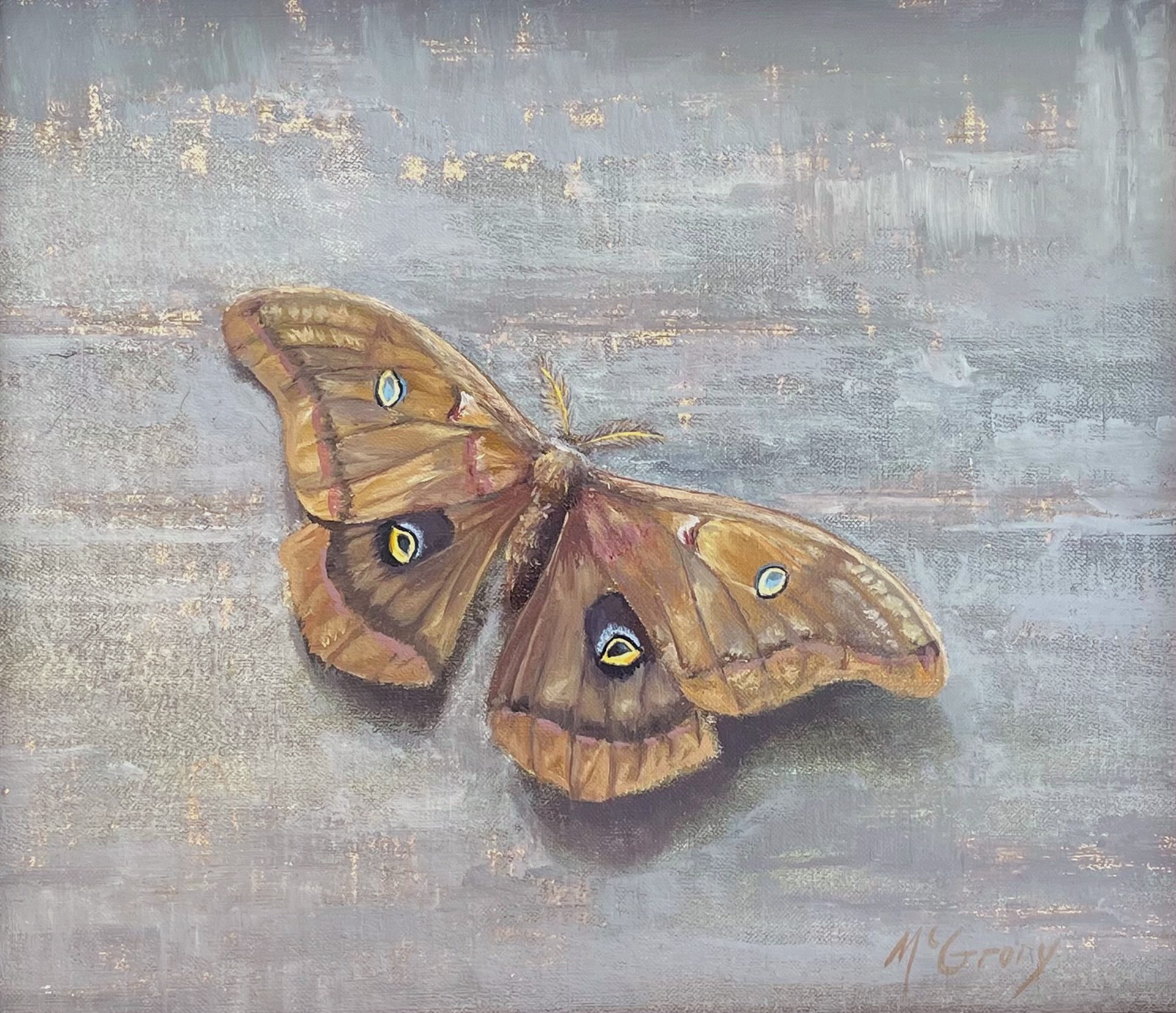 Phoyphenus Moth by Anne McGrory