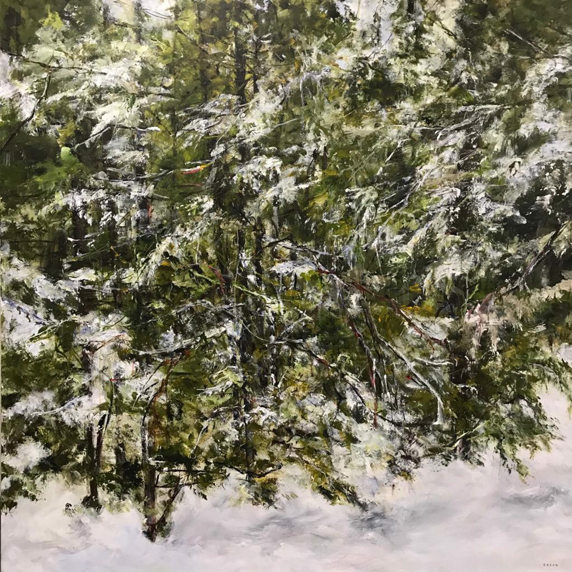 Winter scene by Judy Cheng