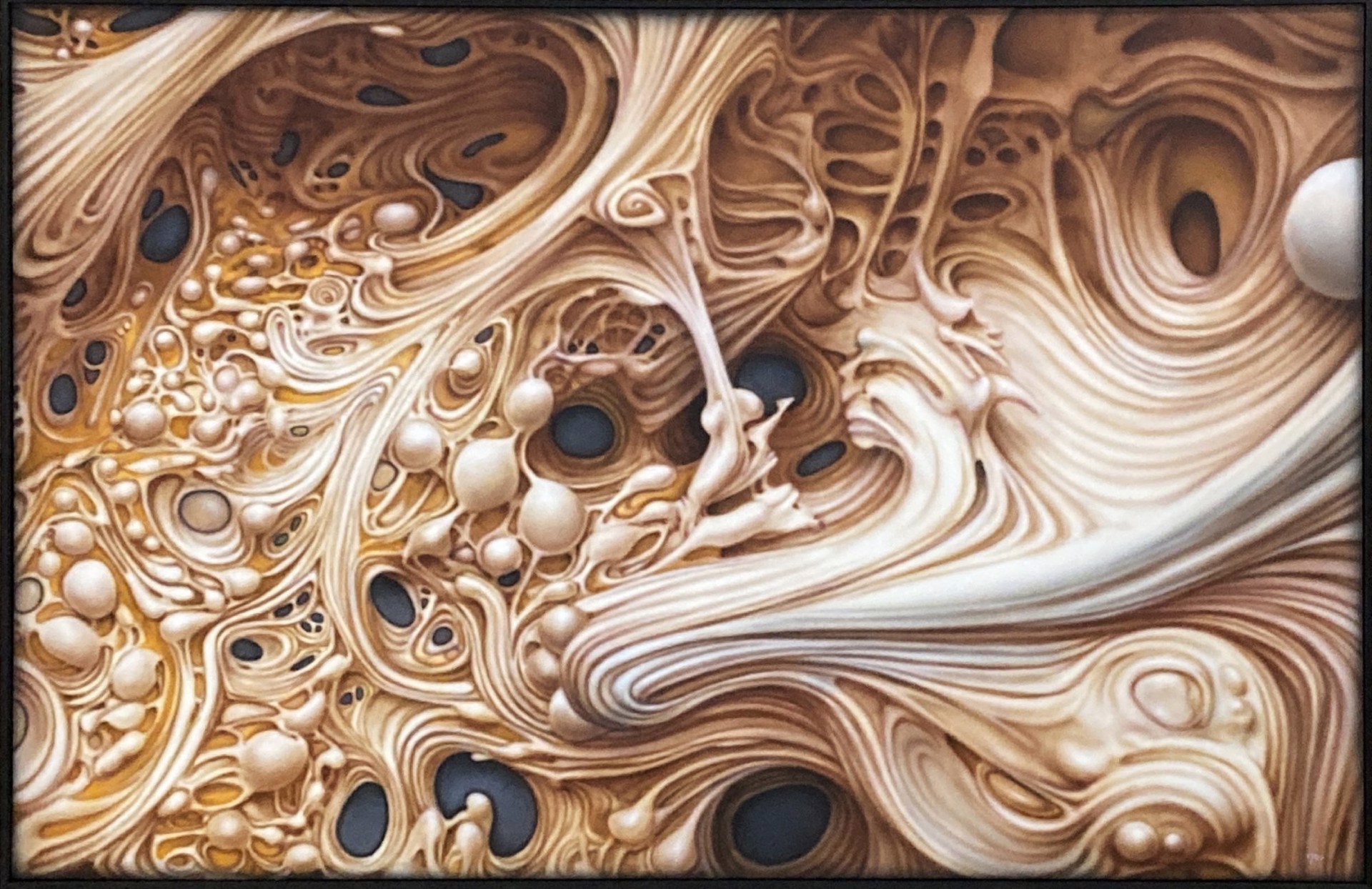 Swirl by Tom Stephenson