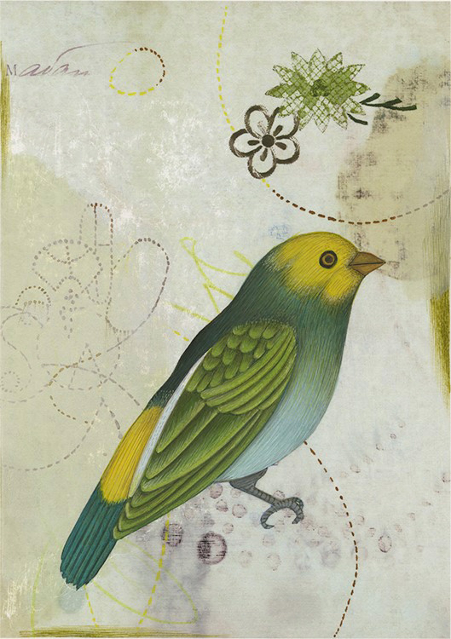 Budgie by Anne Smith