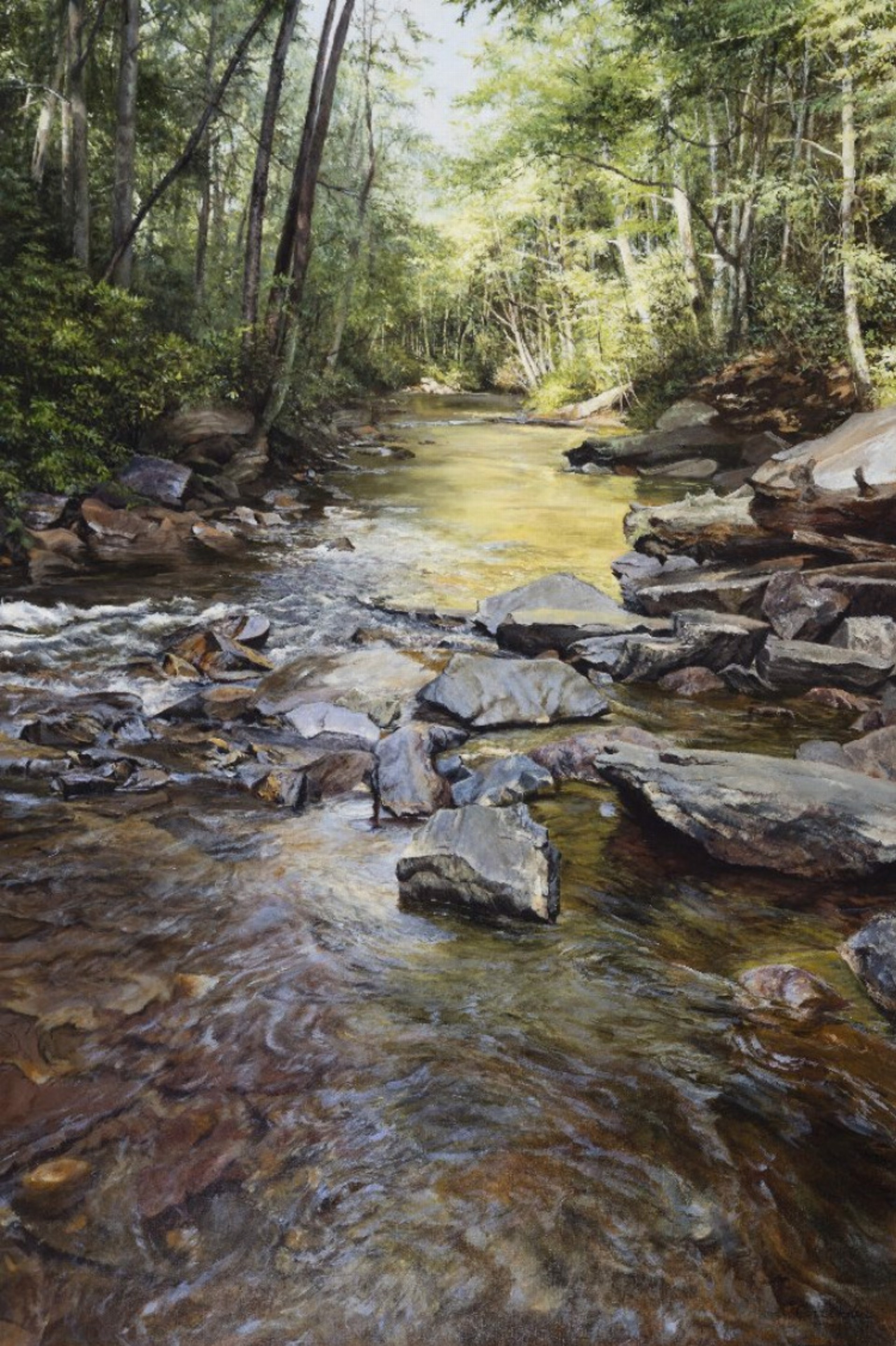 Woodland Stream by Cora Ogden