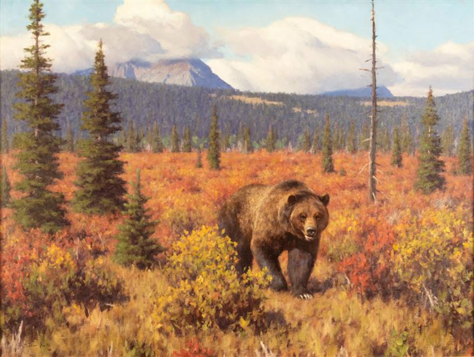 The Bear by Tucker Smith