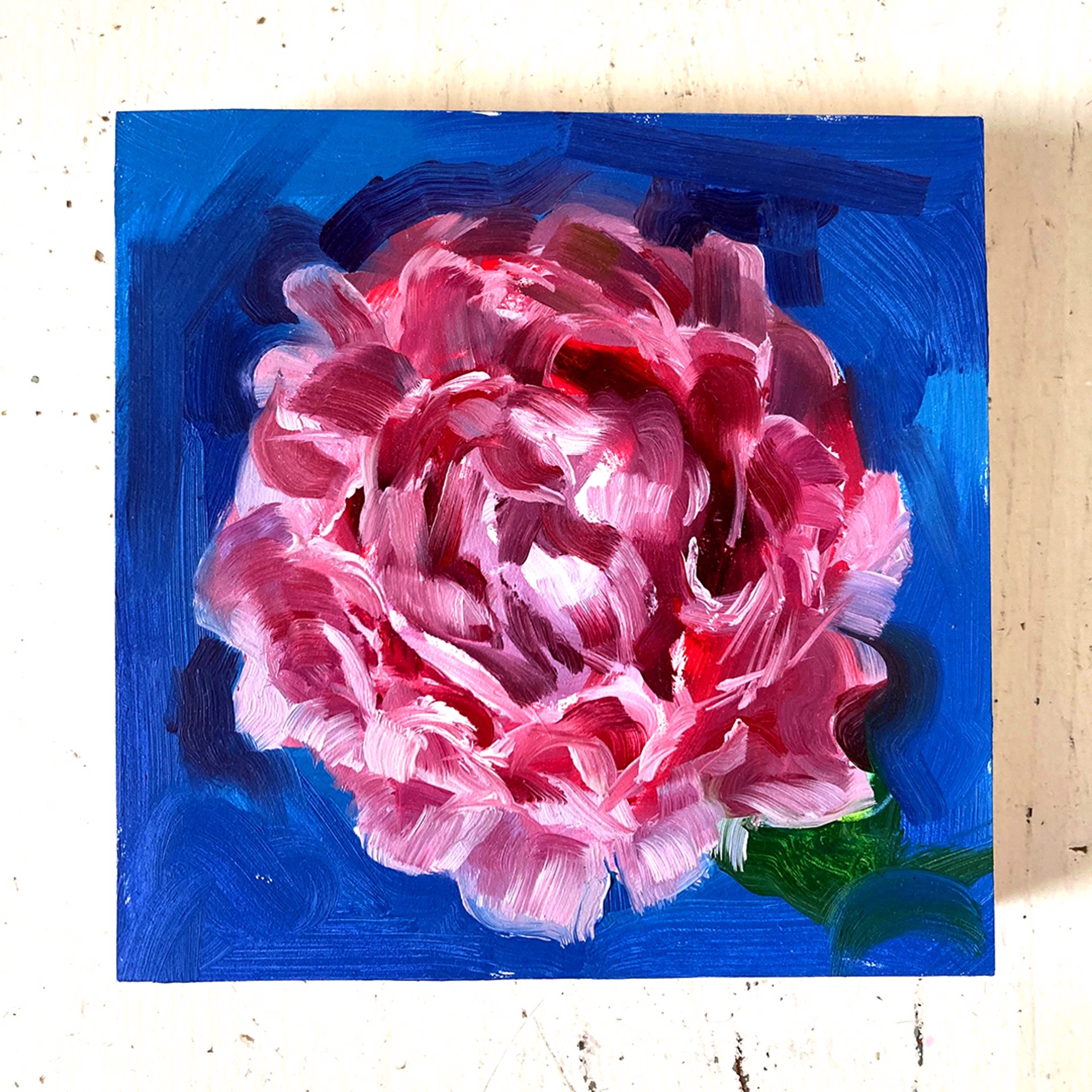 Peony Project #7 by Amy R. Peterson*