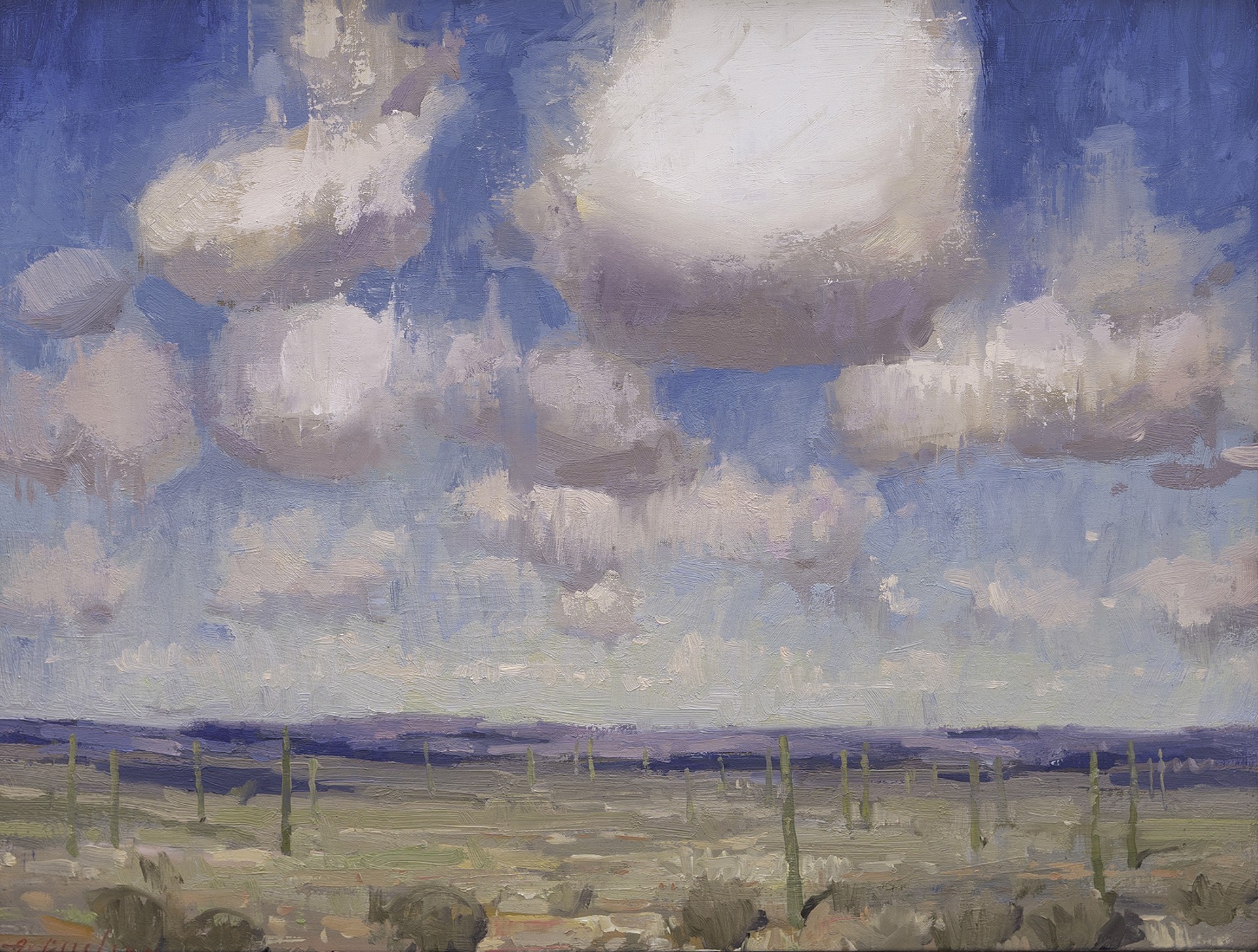 Desert Cloudscape by Aimee Erickson