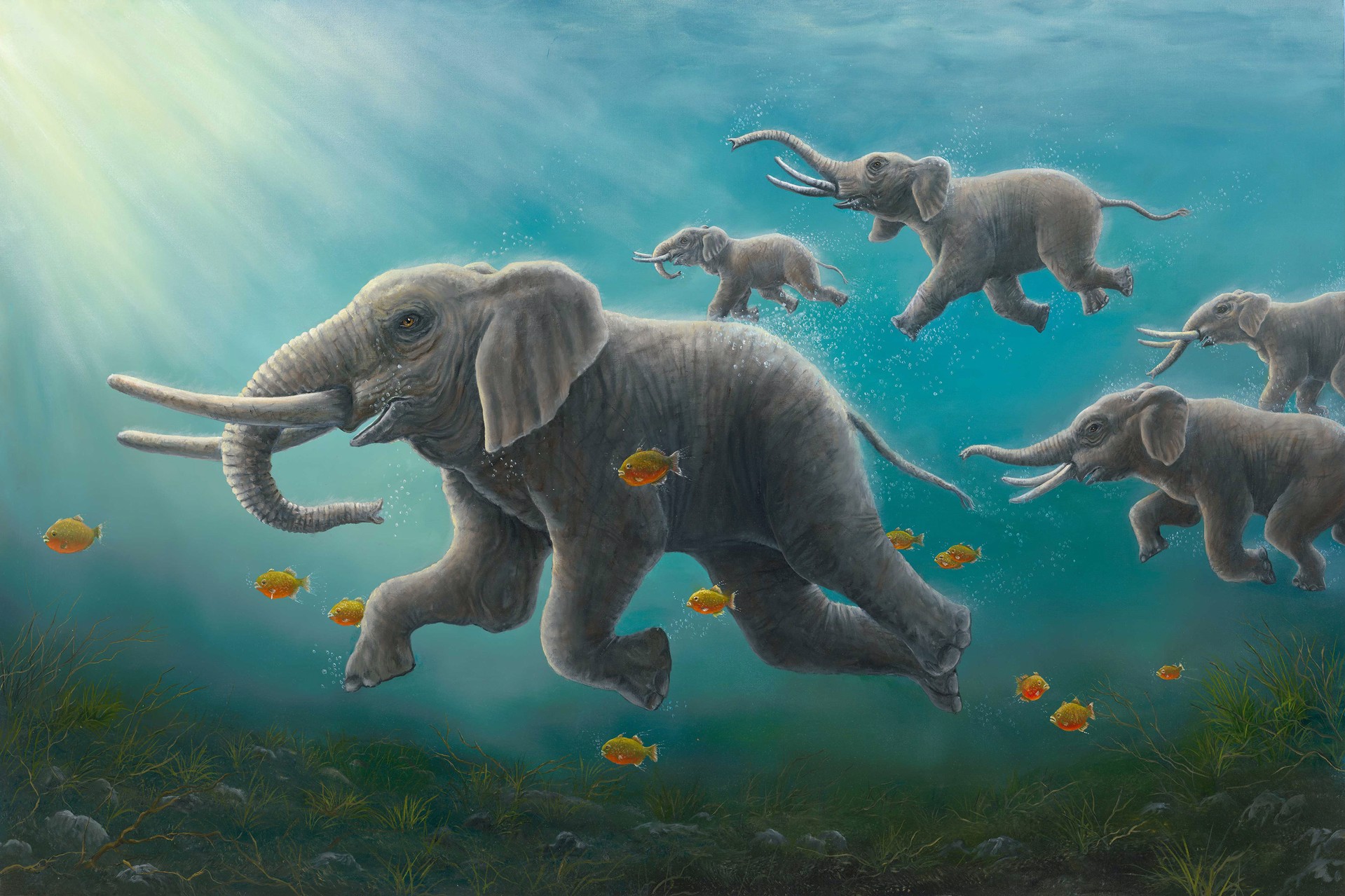 The Race by Robert Bissell