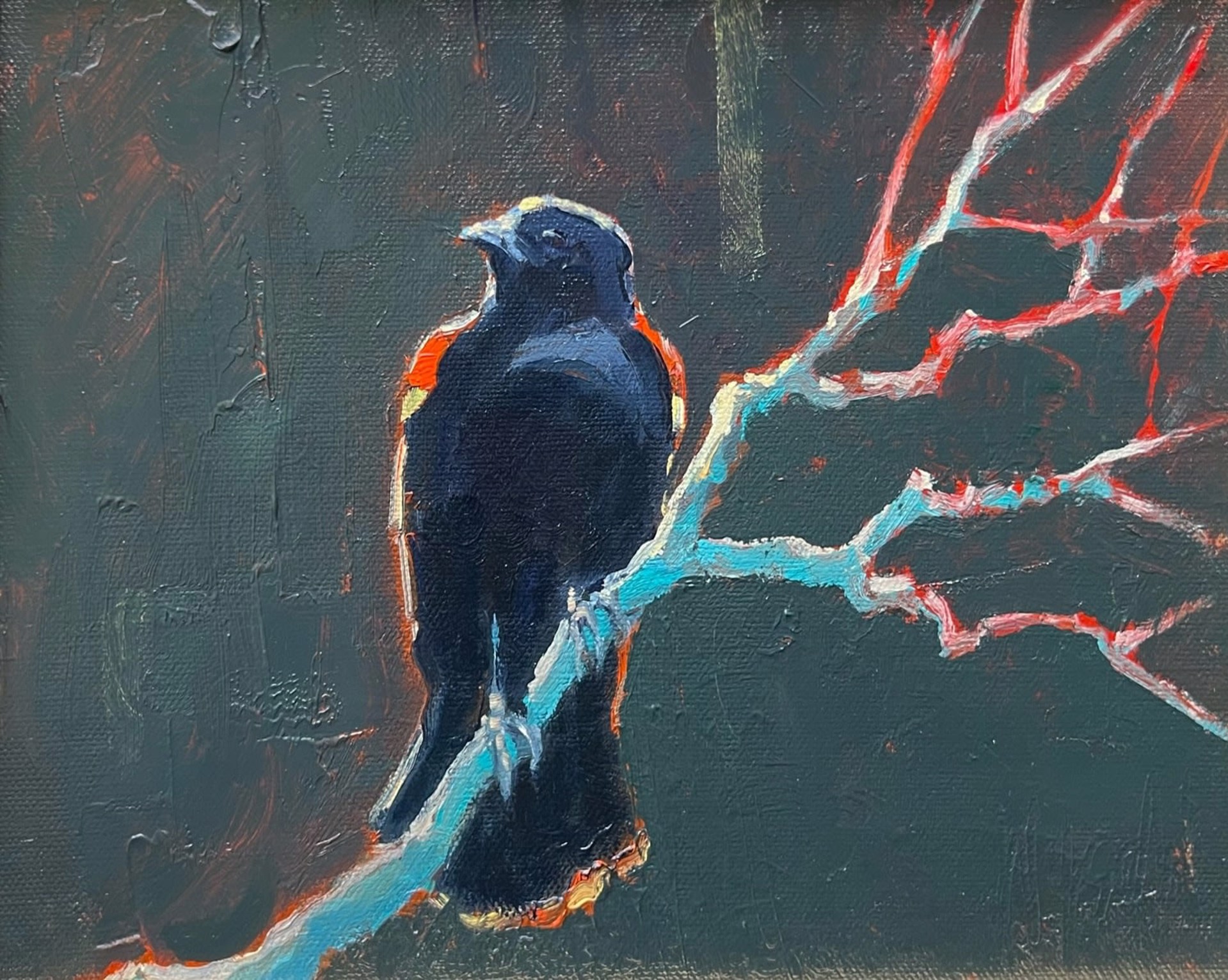 REDWING BLACKBIRD by Stephen Wysocki