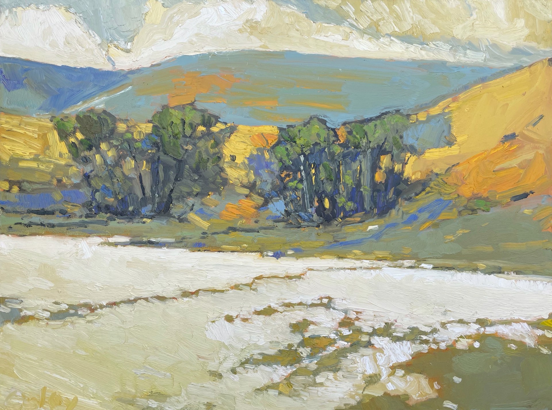 Deer Trail #15 by Nicholas Coley