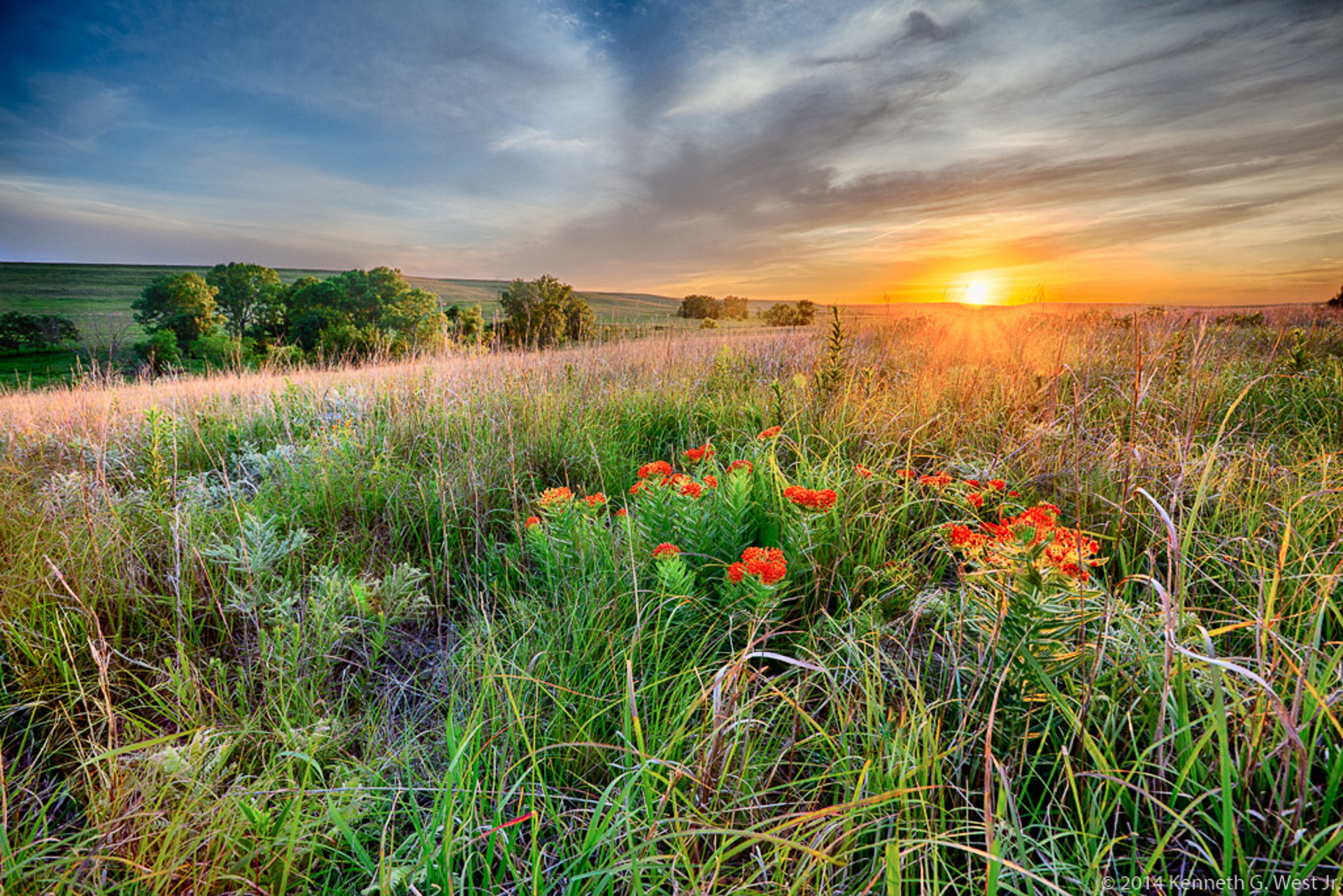 Blooming Prairie by Ken West