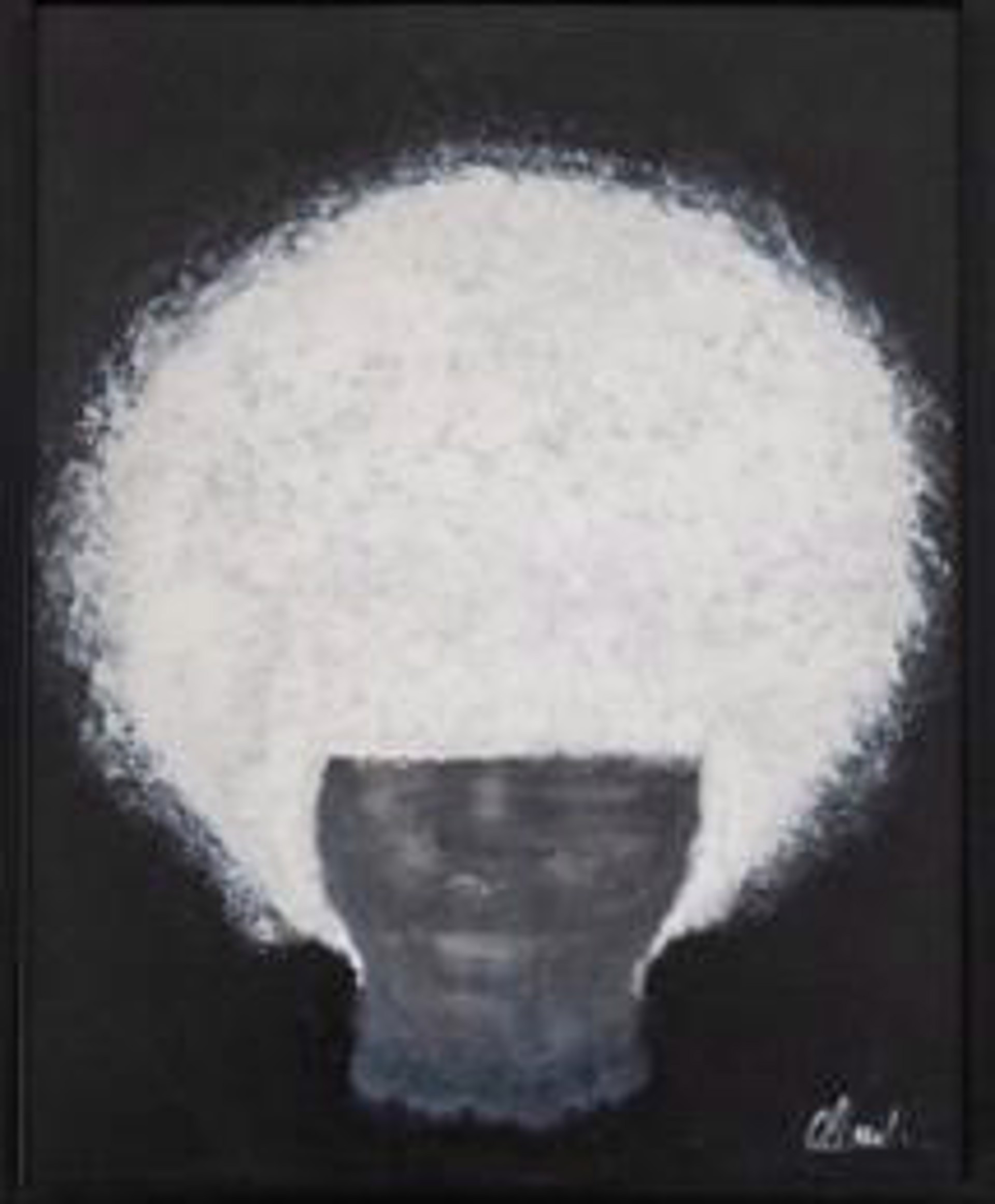 COTTON FRO by Guylaine Conquet