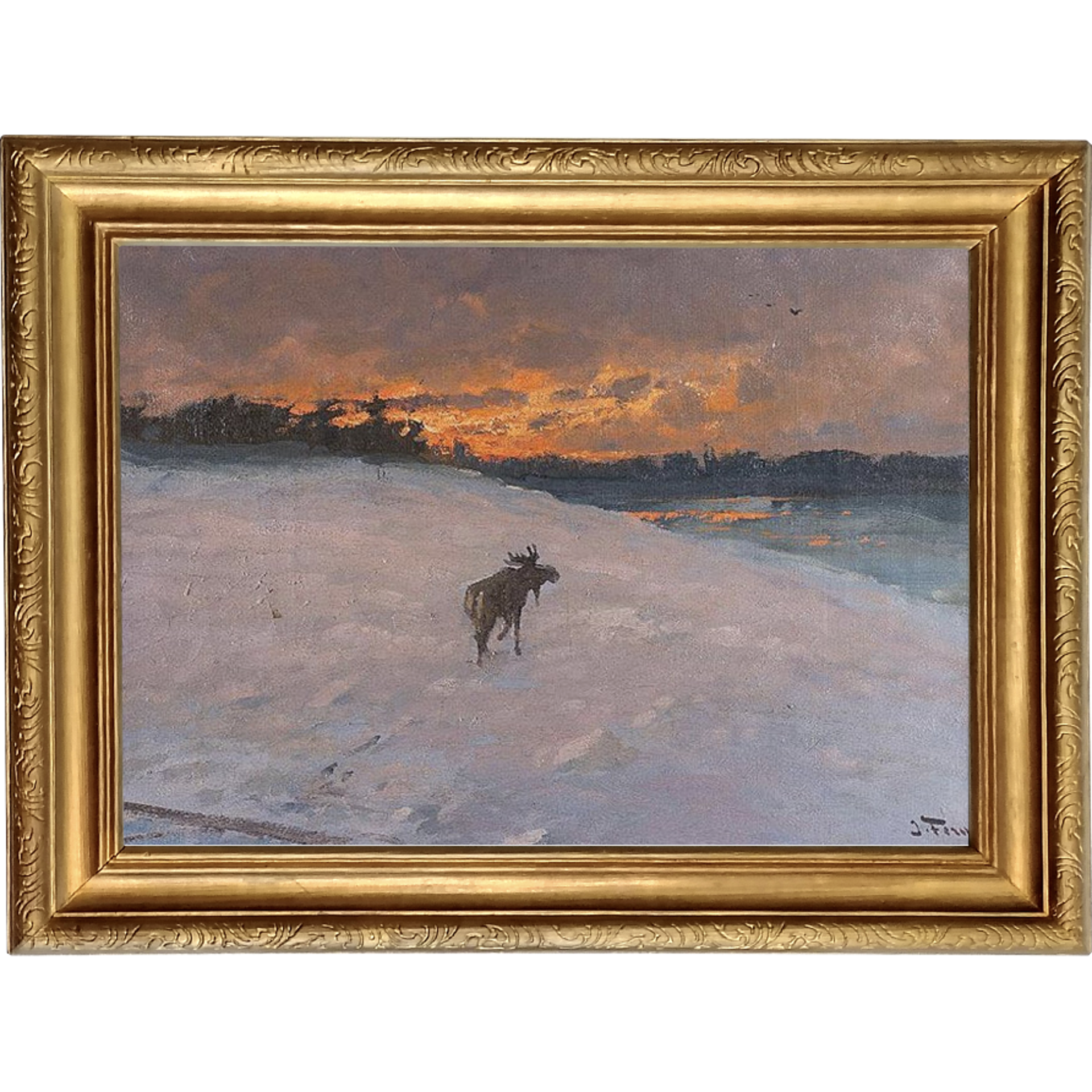 Moose at Sunset by John Fery [1859-1934]