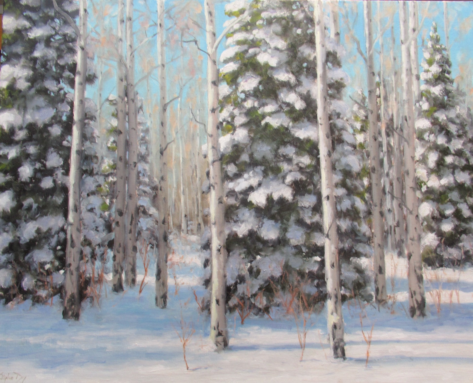 Winter Afternoon by Stephen Day