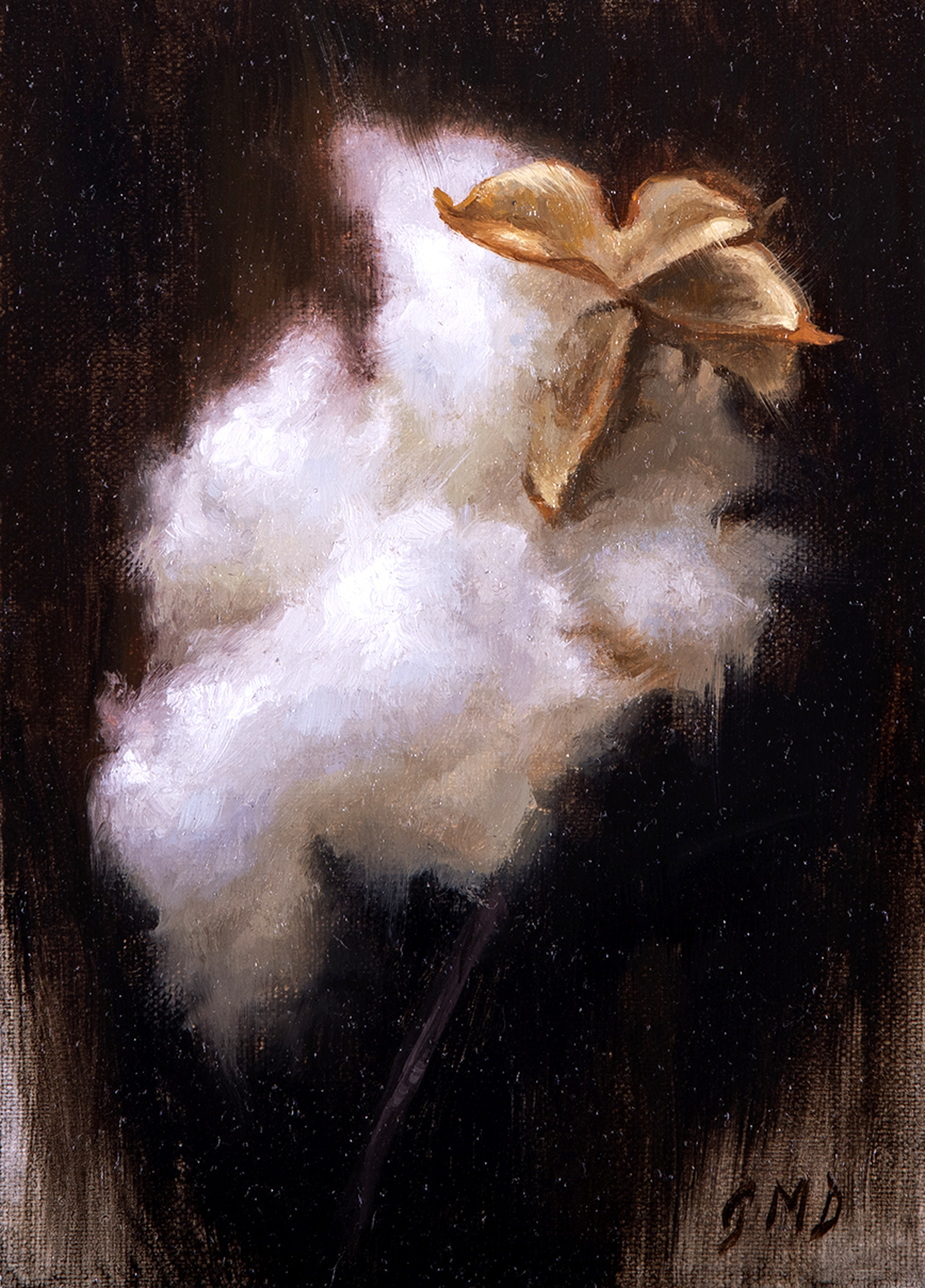 Single Cotton Boll by Grace DeVito
