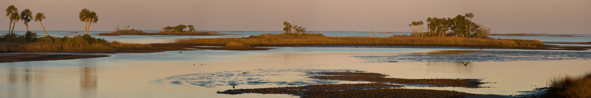 Withlacoochee Bay by Carlton Ward Photography