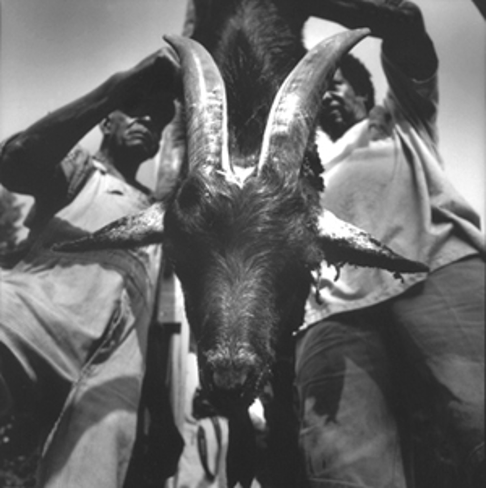 Otha Goat head by Bill Steber