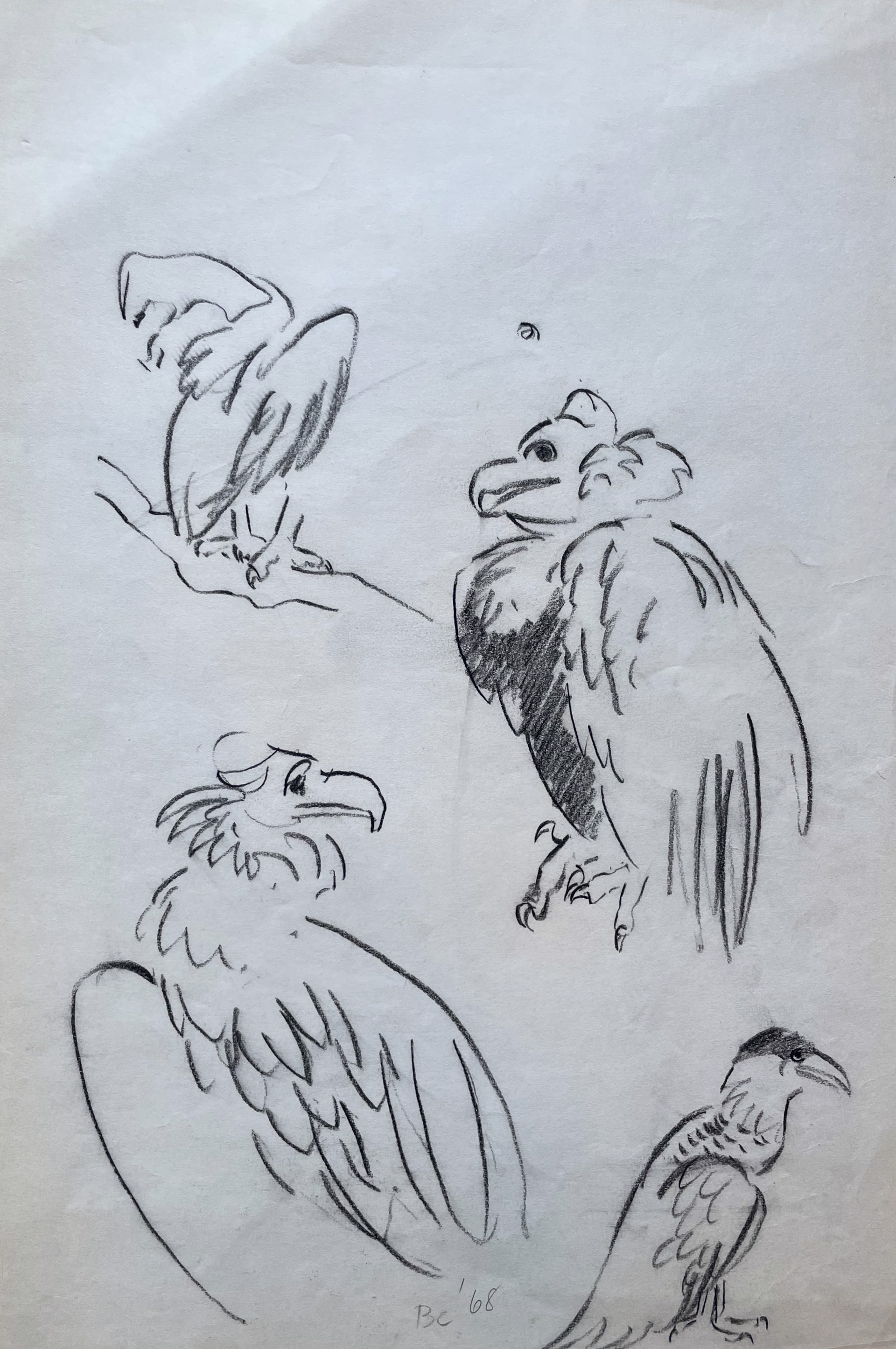 Vultures I by Burton Callicott