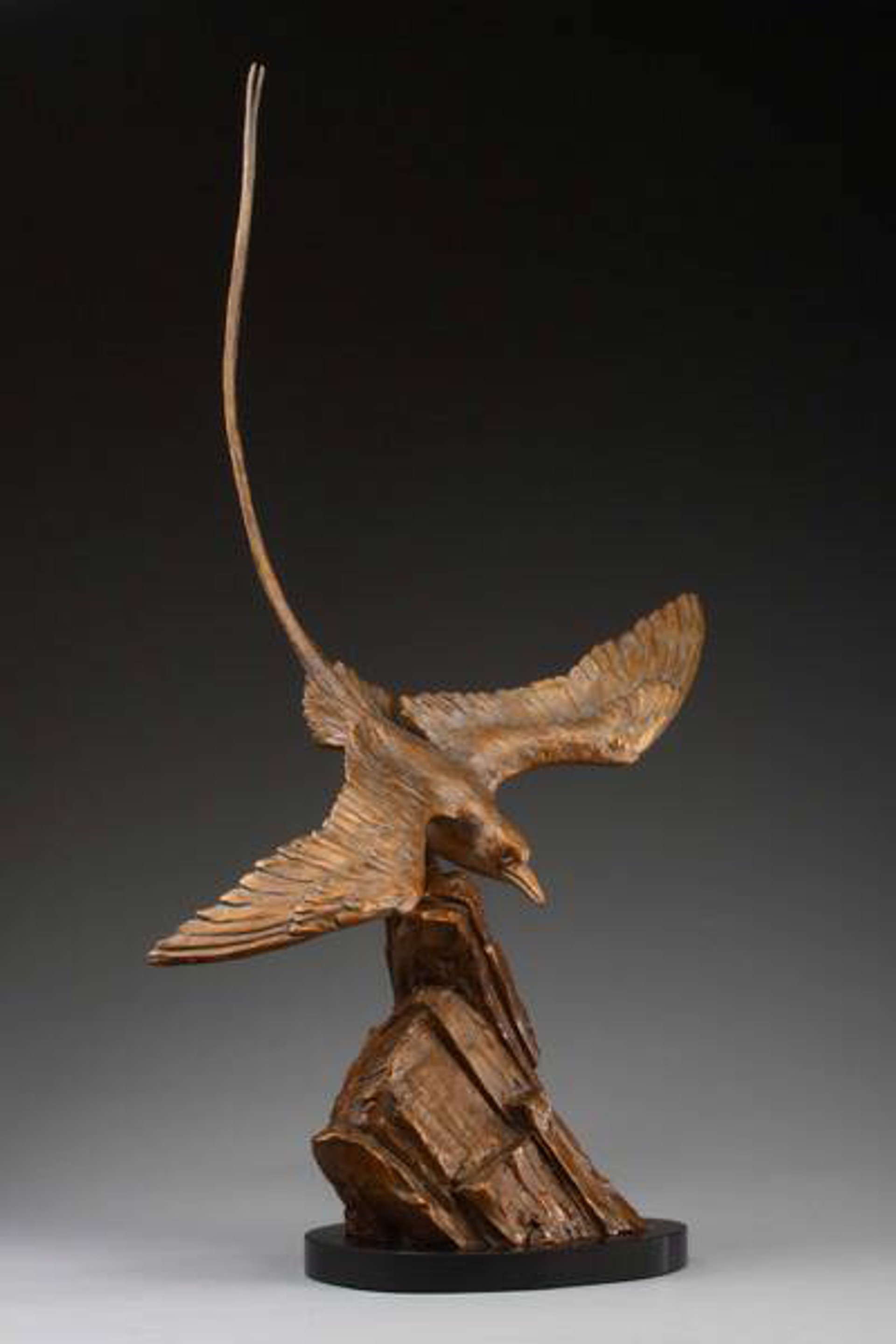 Tropic Bird by Daniel Glanz (sculptor)