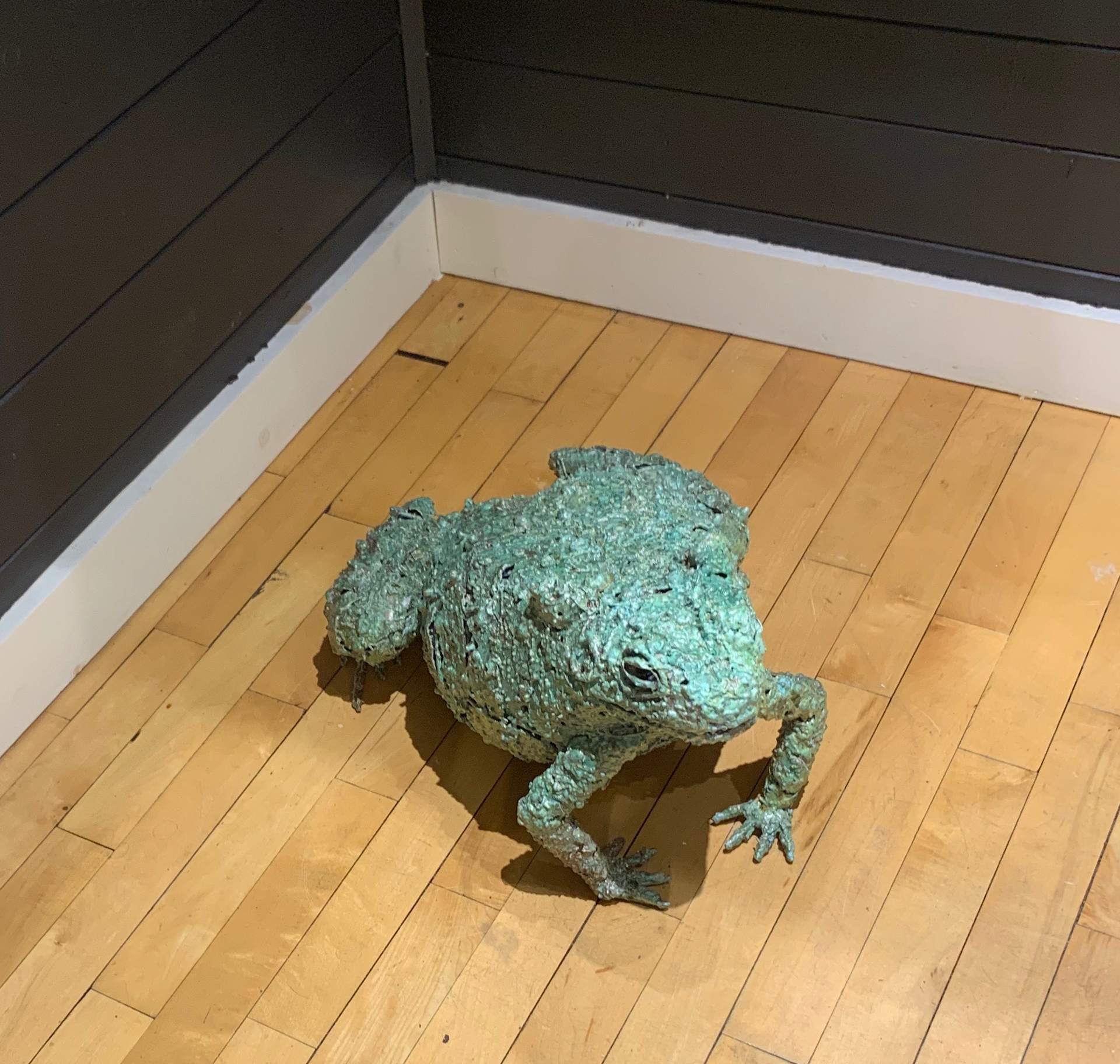 Toad by William Allen