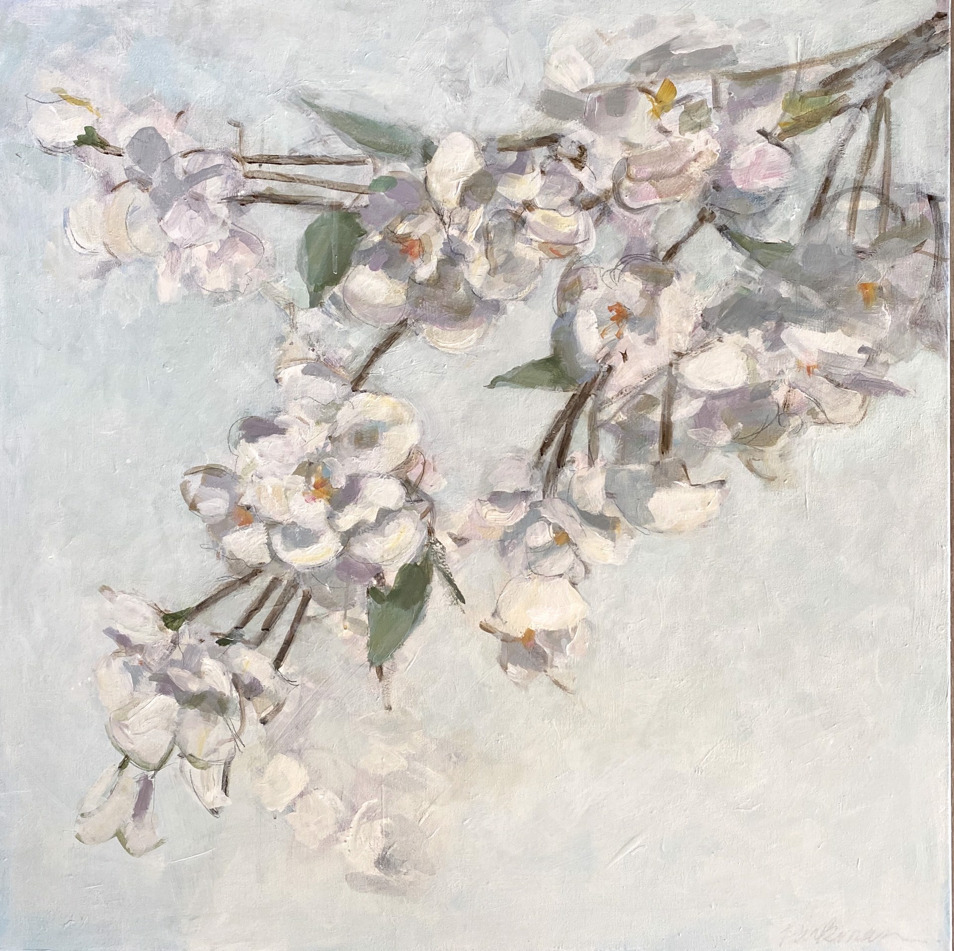 Cherry Blossoms by Mary Parkman