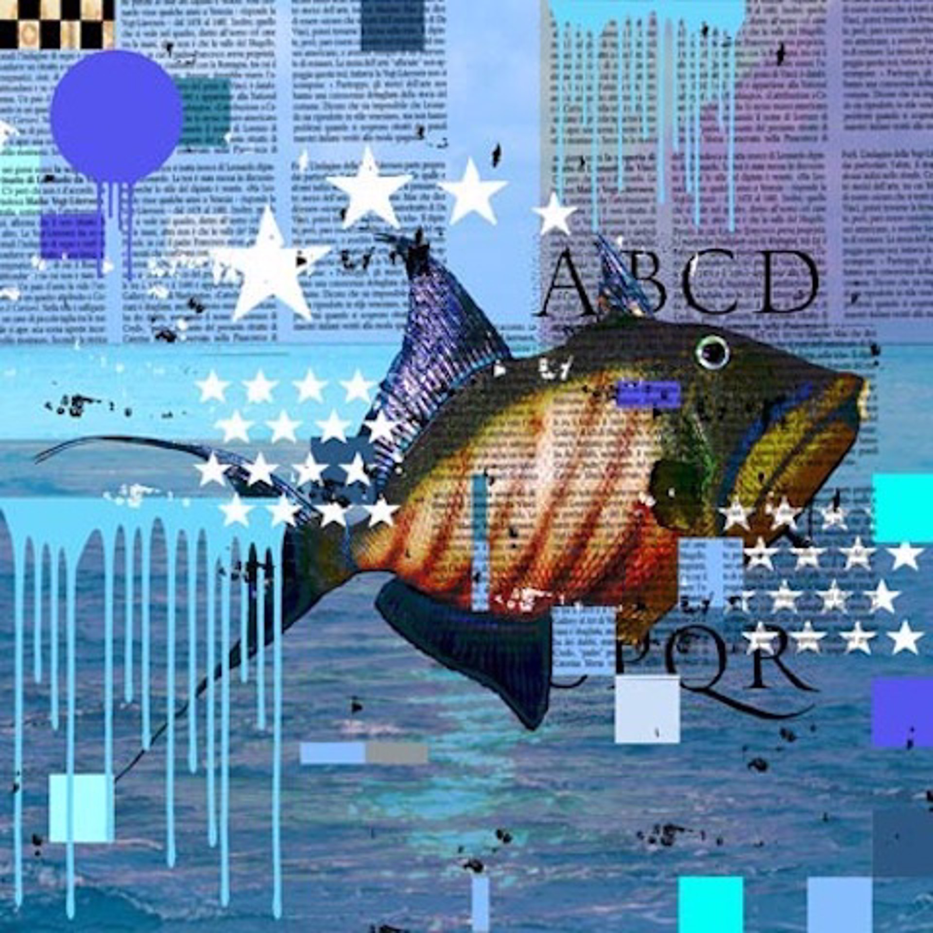 Queen Trigger Fish by Mark Andrew Allen