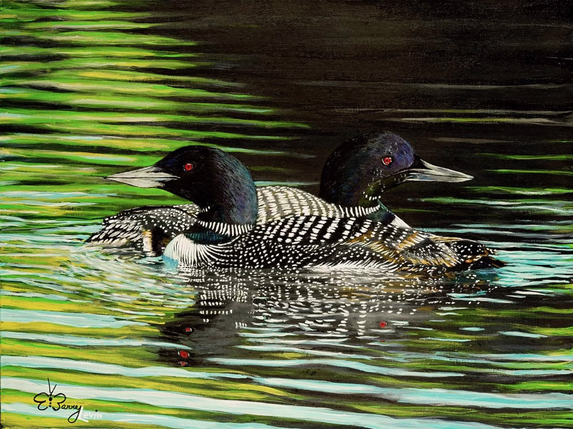 Common Loons en Passant by Barry Levin