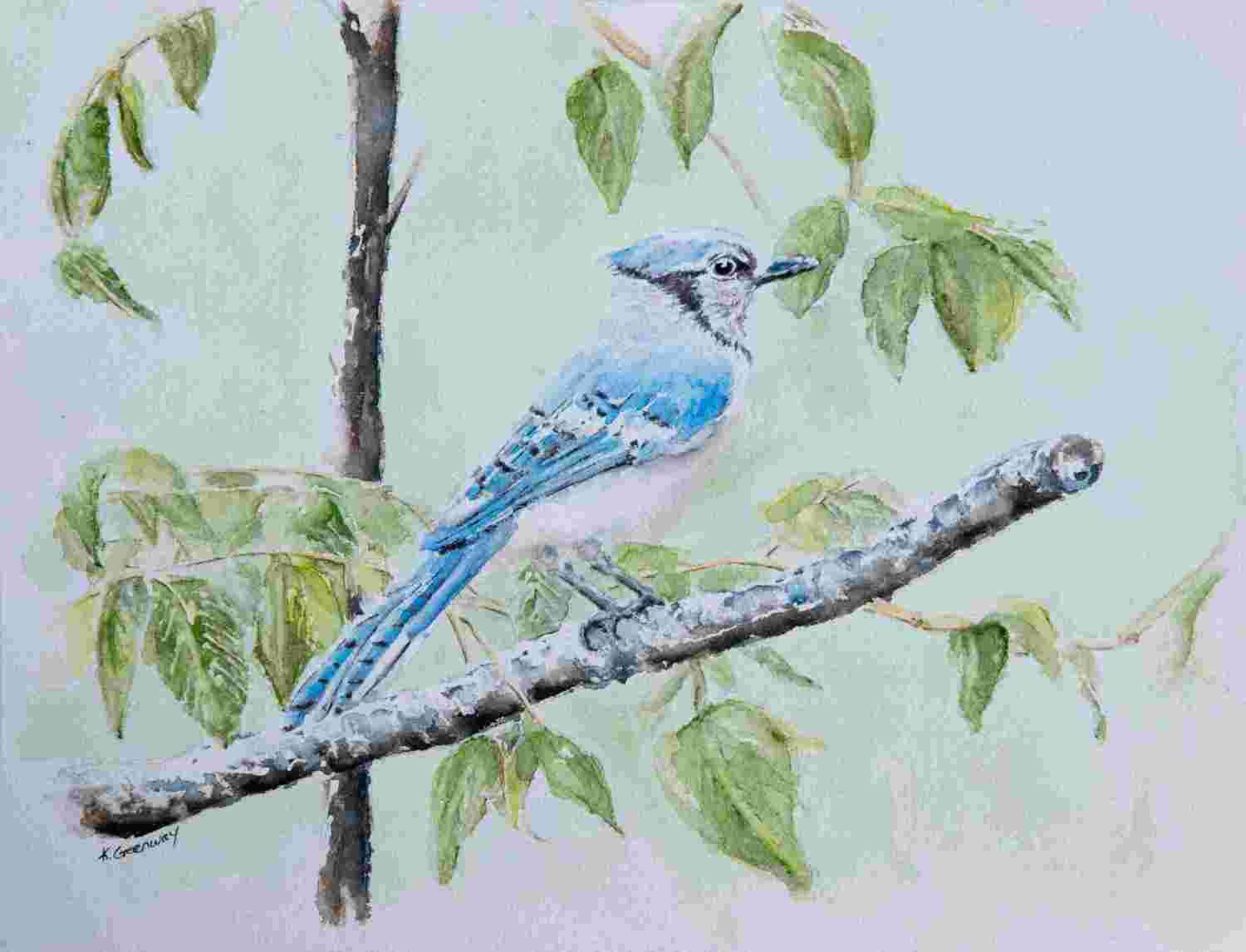 Perched Blue Jay by Kate Greenway
