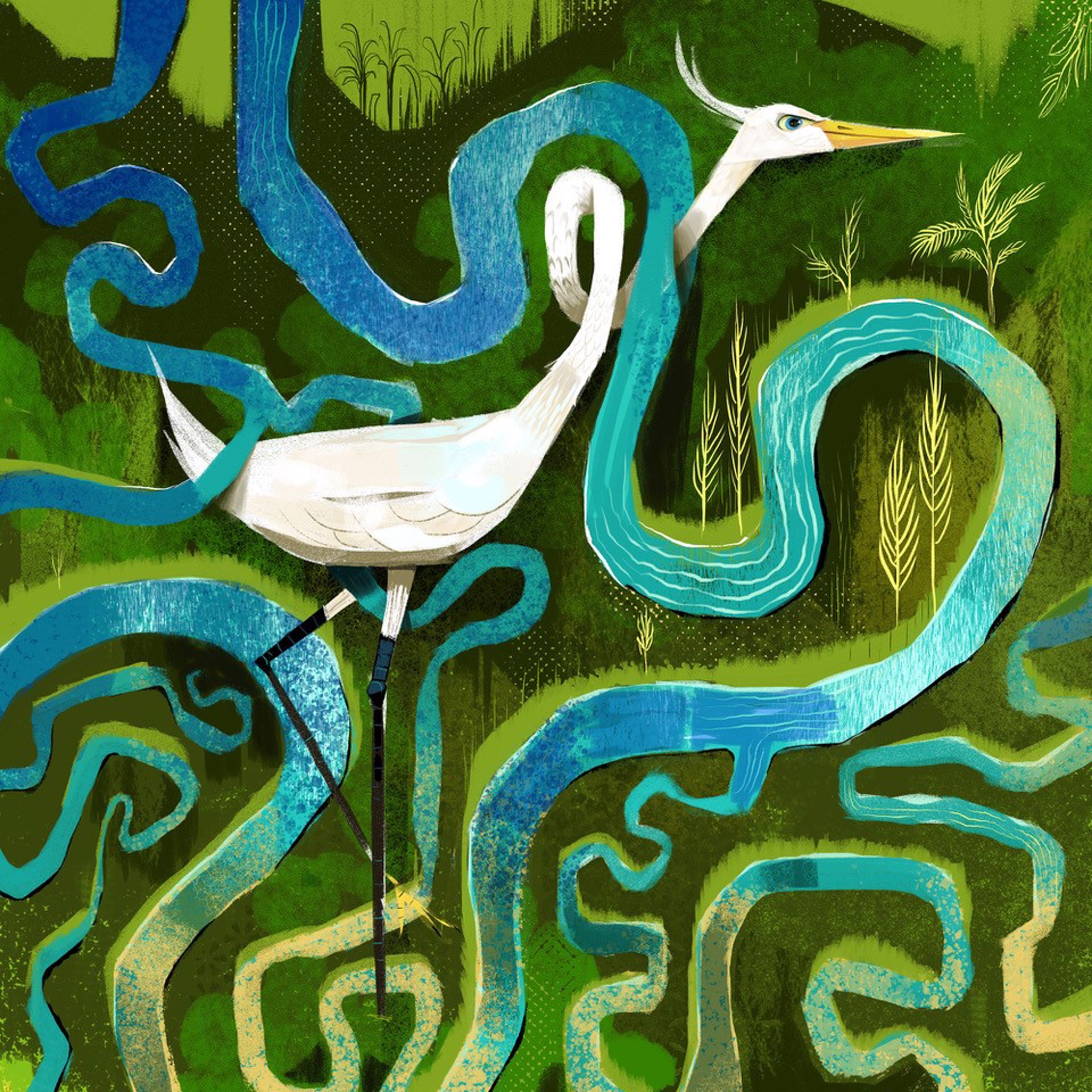 Egret Creek by Timothy Banks