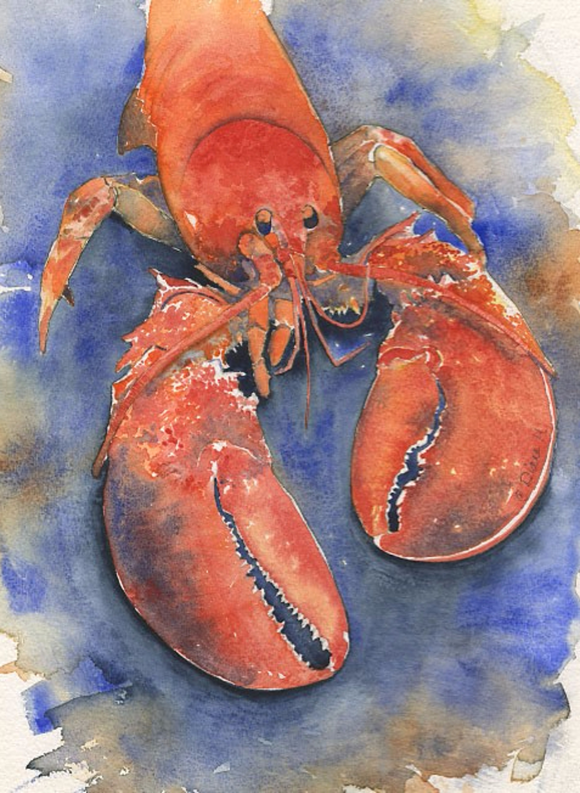 Seafood Series, Lobster by Diane Bragdon