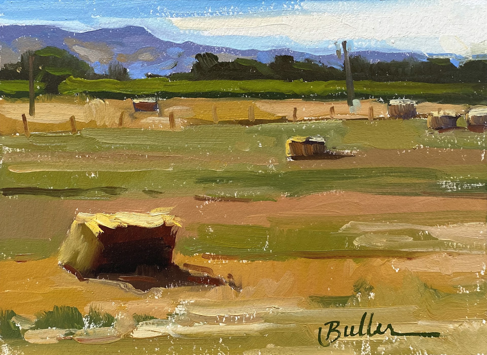 Farm To Mountain by Samantha Buller