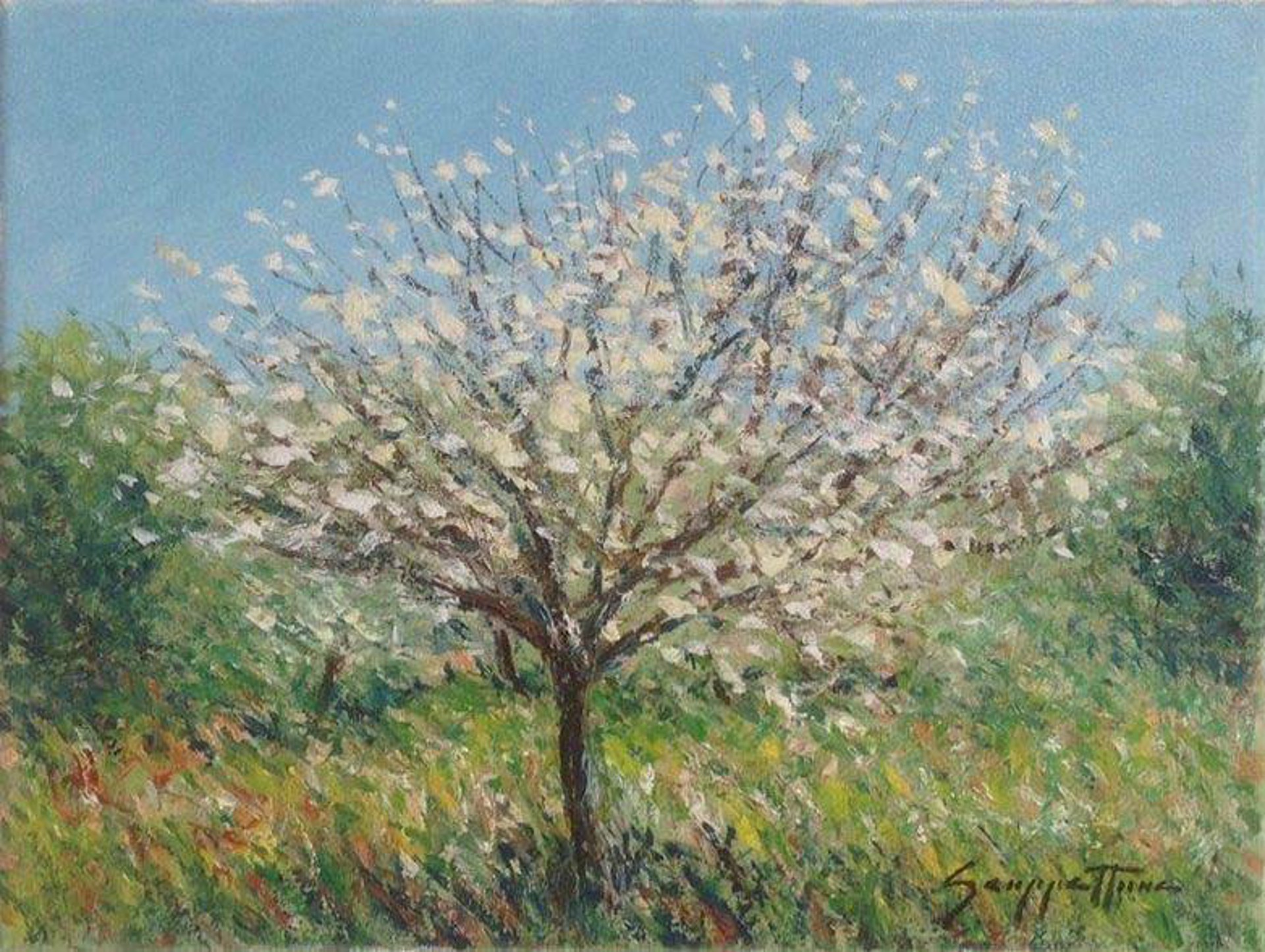 Spring Blossom by James Scoppettone