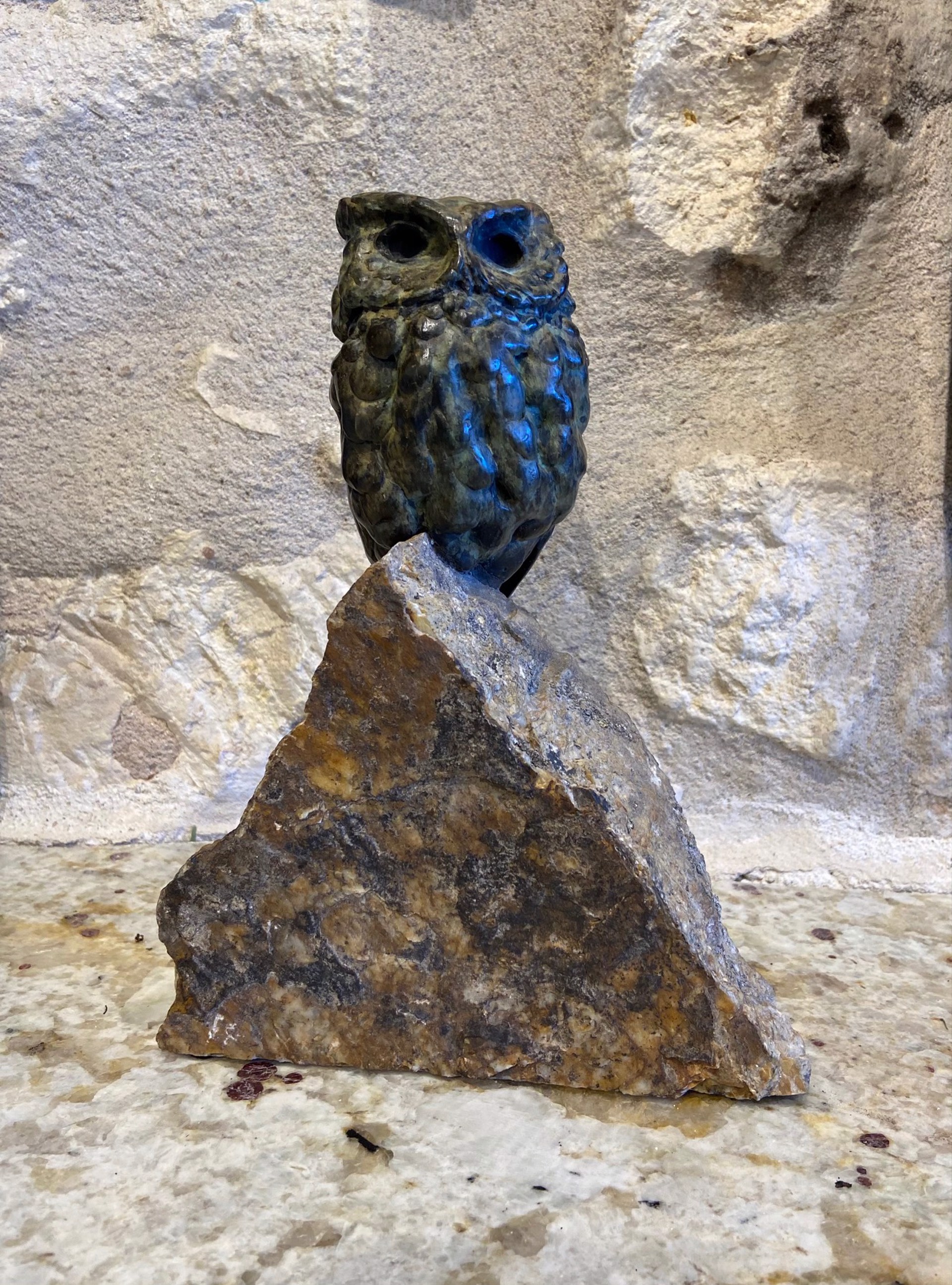 Rock Star (Screech Owl) by Stefan Savides