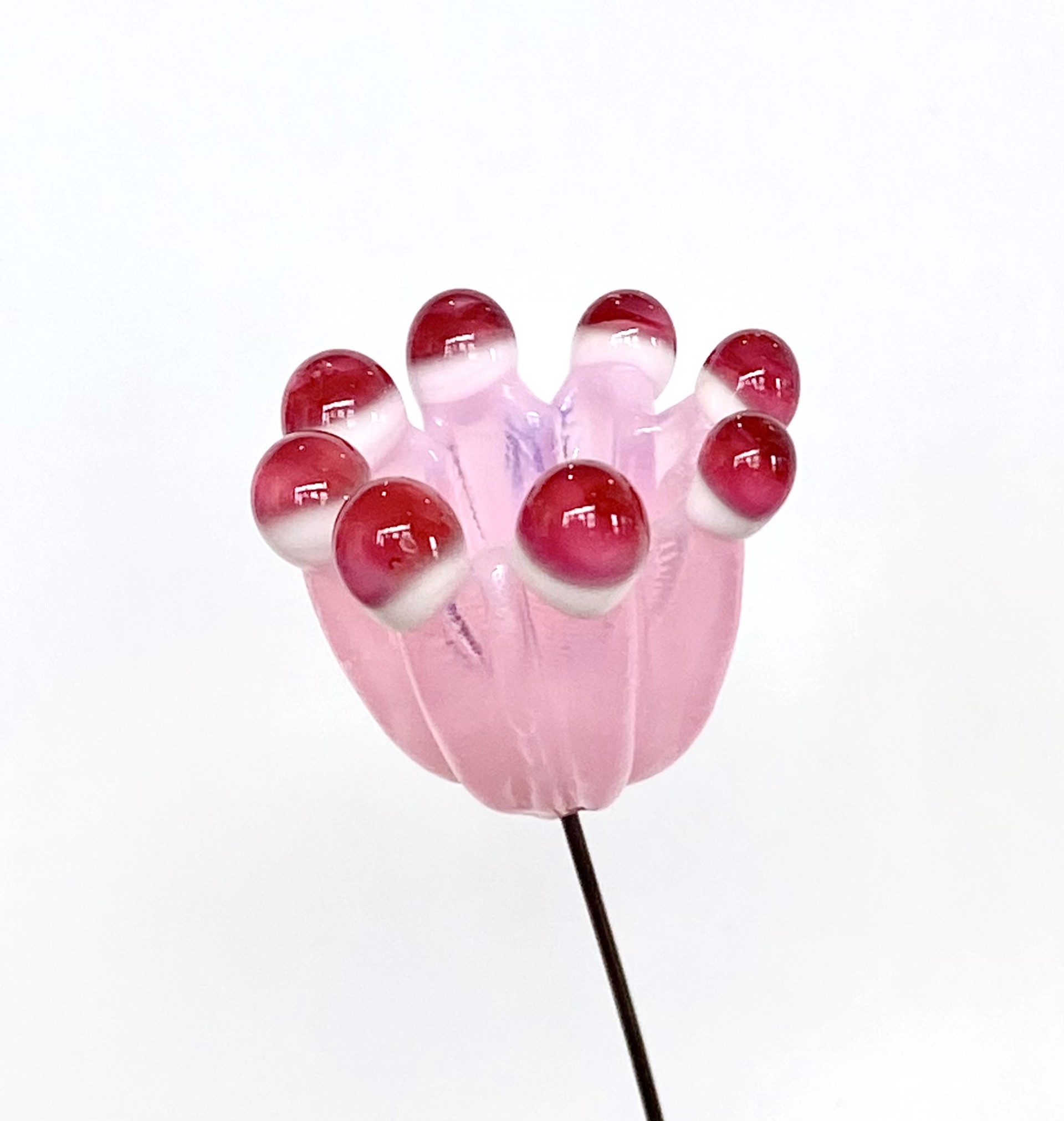 Glass Pink & White Dotted Flower by Emelie Hebert