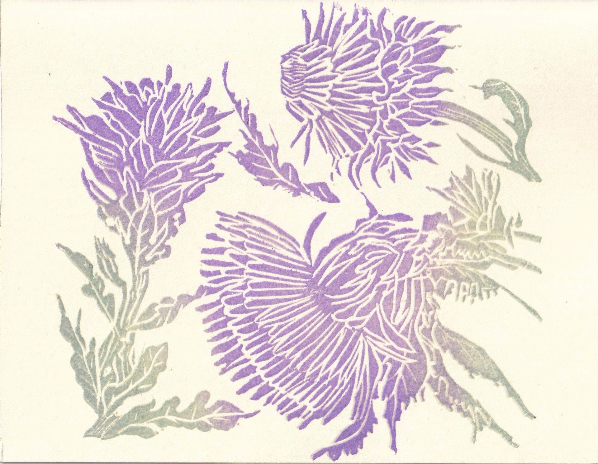 Thistle Card by Kat Kinnick