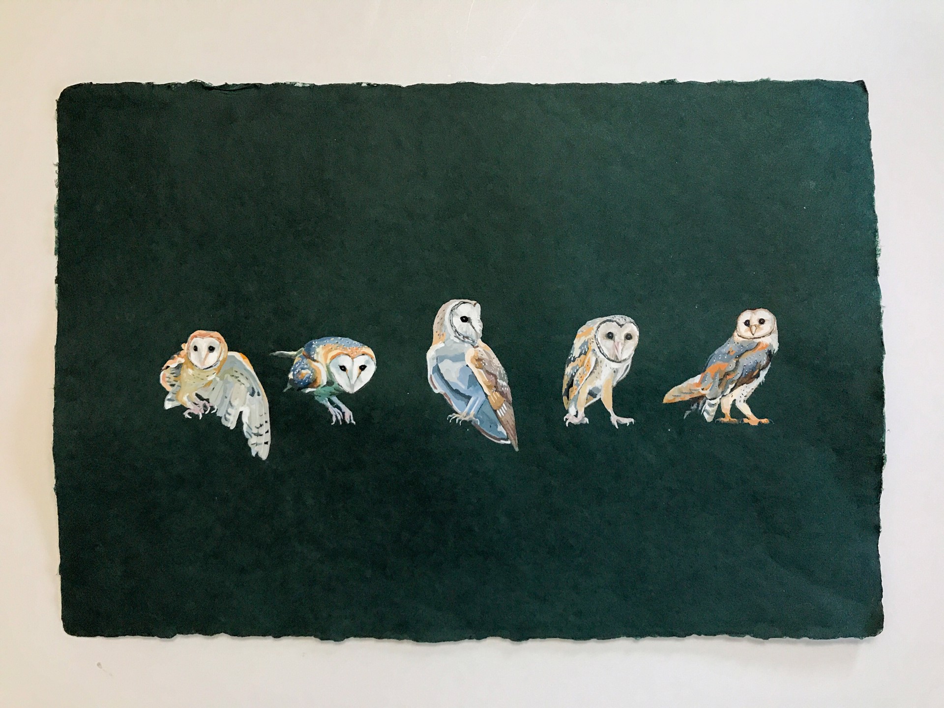 Owl Study by Noelle Holler