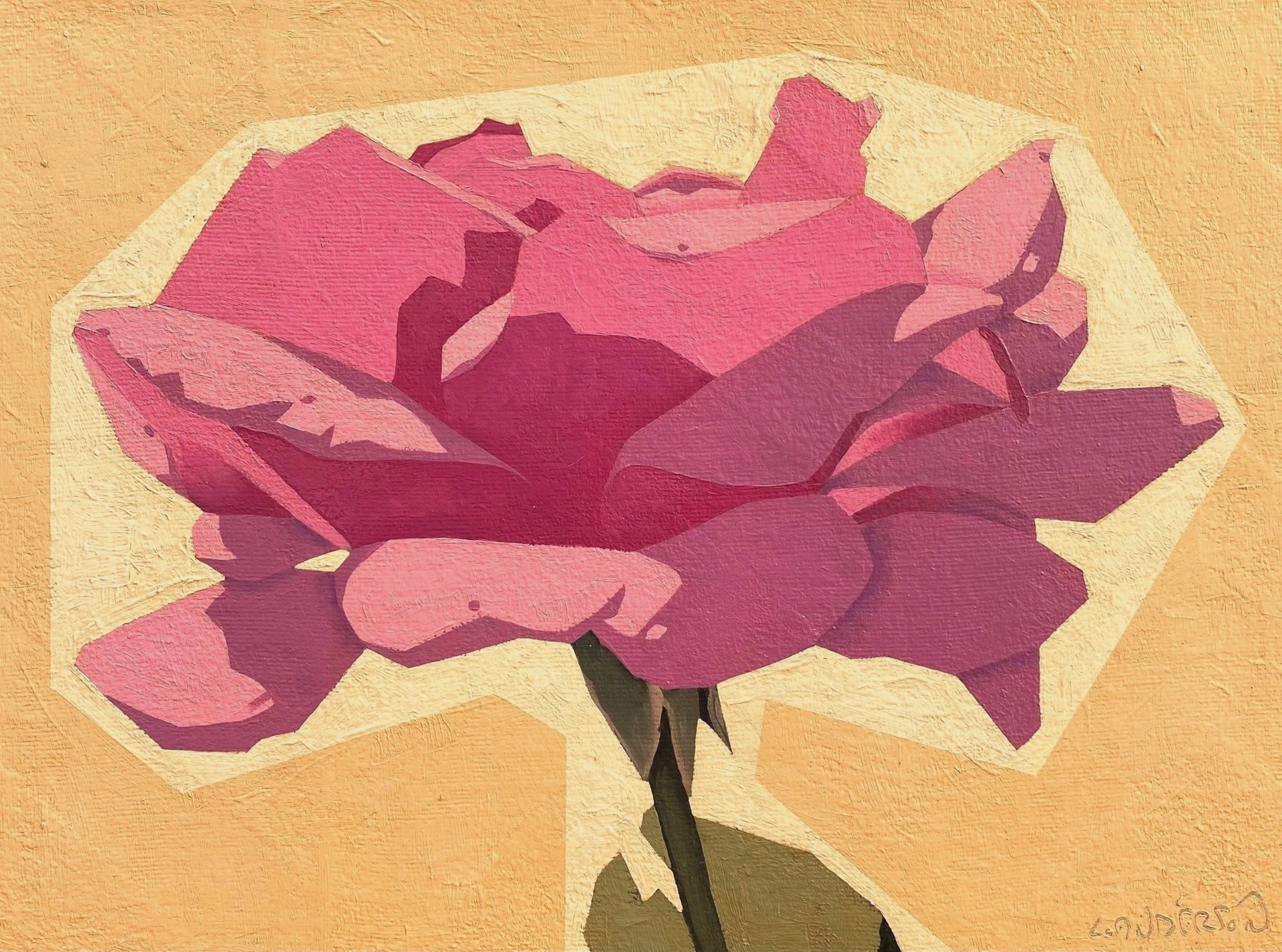 Pink Rose by Luke Anderson