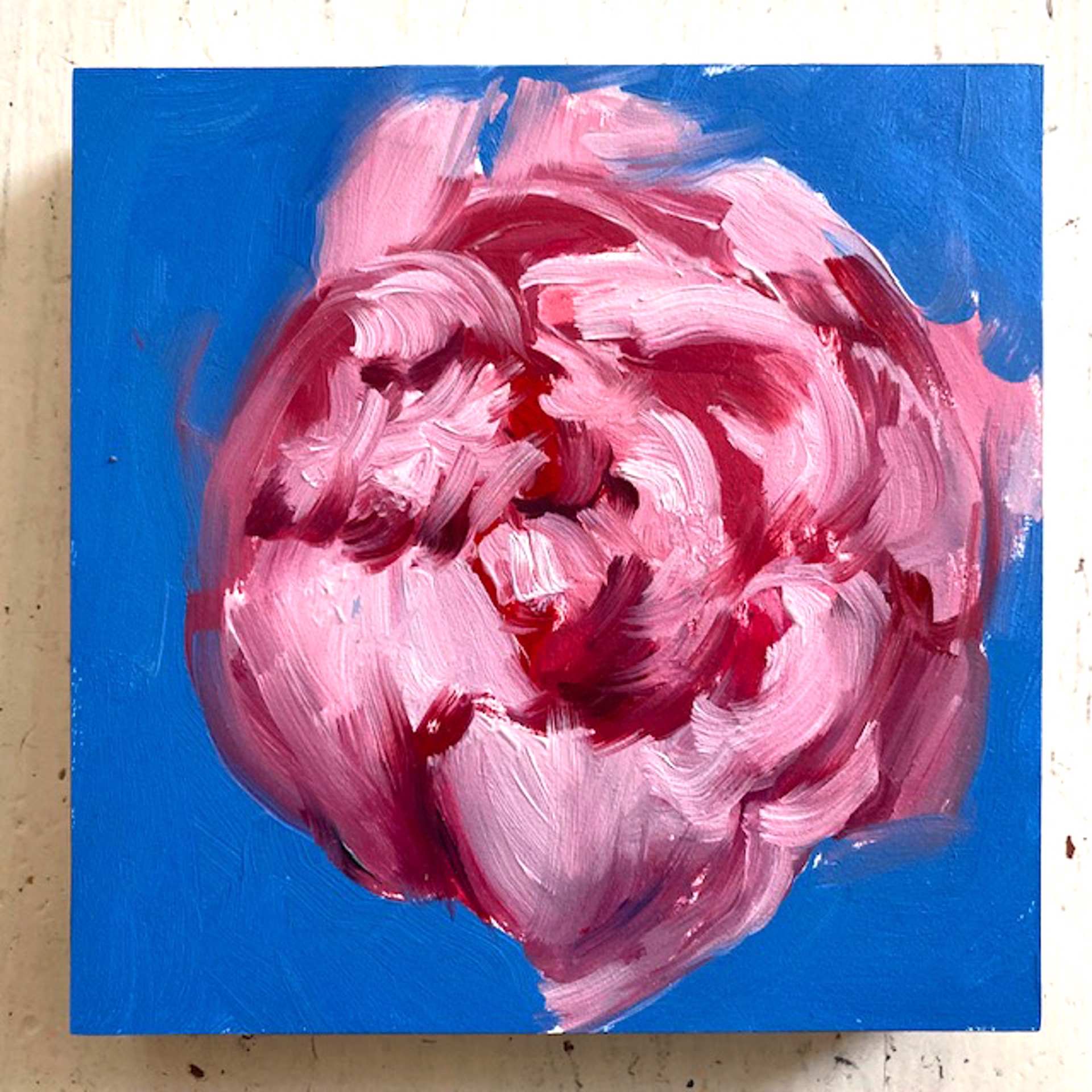 Peony Project #32 by Amy R. Peterson*