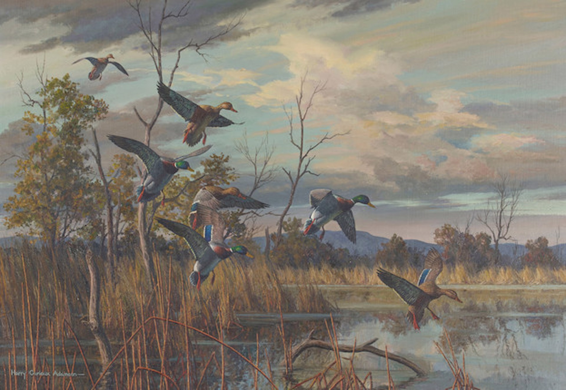 DUCKS LANDING ON A POND by Harry Curieux Adamson (1916-2012)