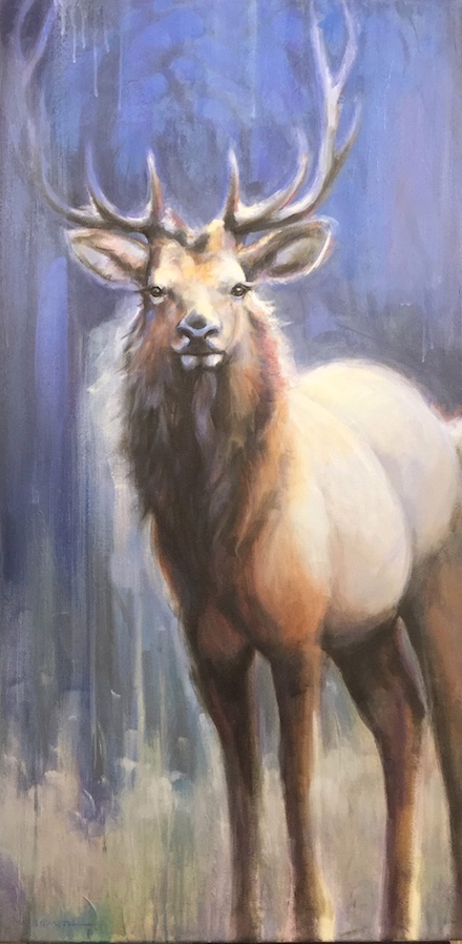 Elk in the Mist by Sharon Smith