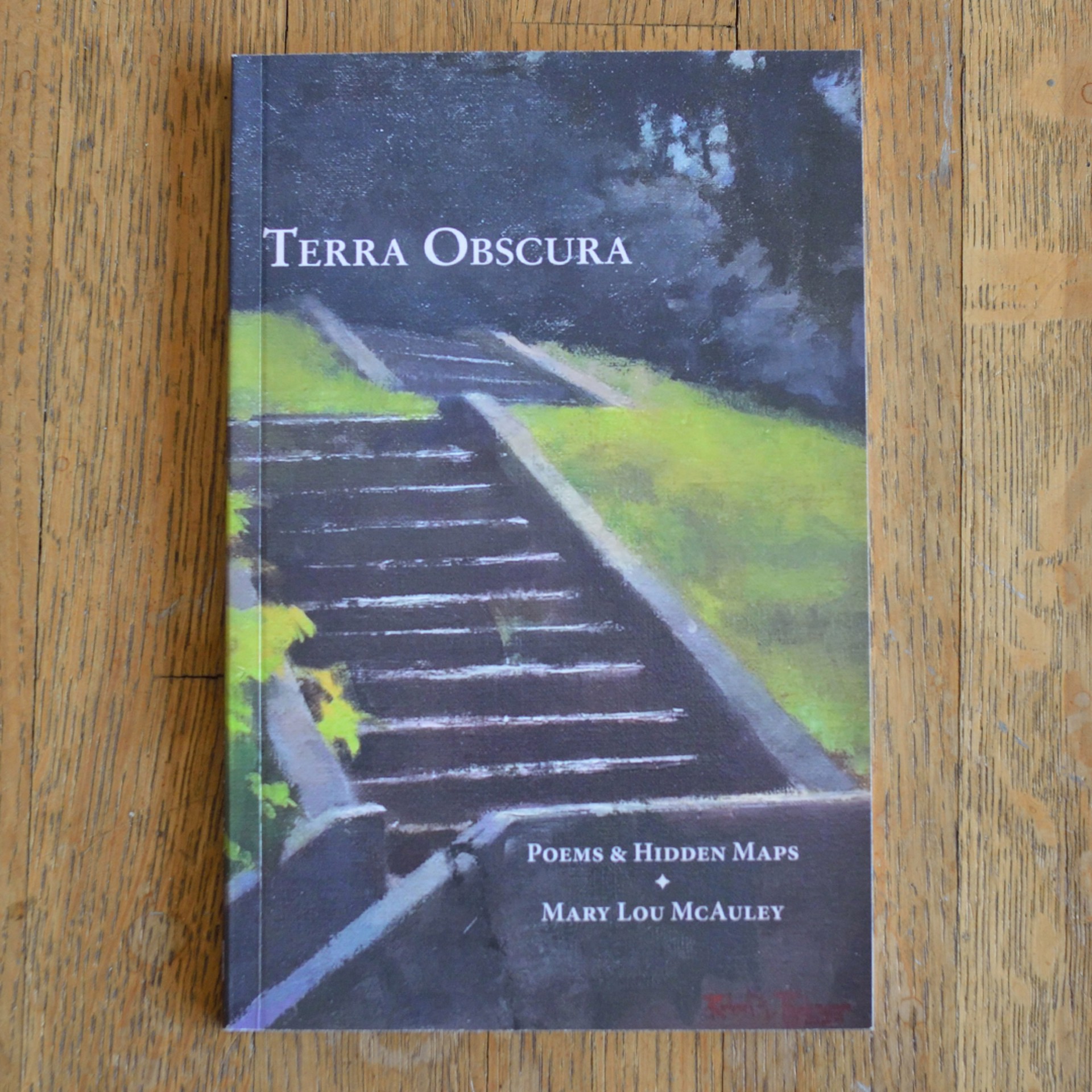 Terra Obscura by Mary Lou McAuley
