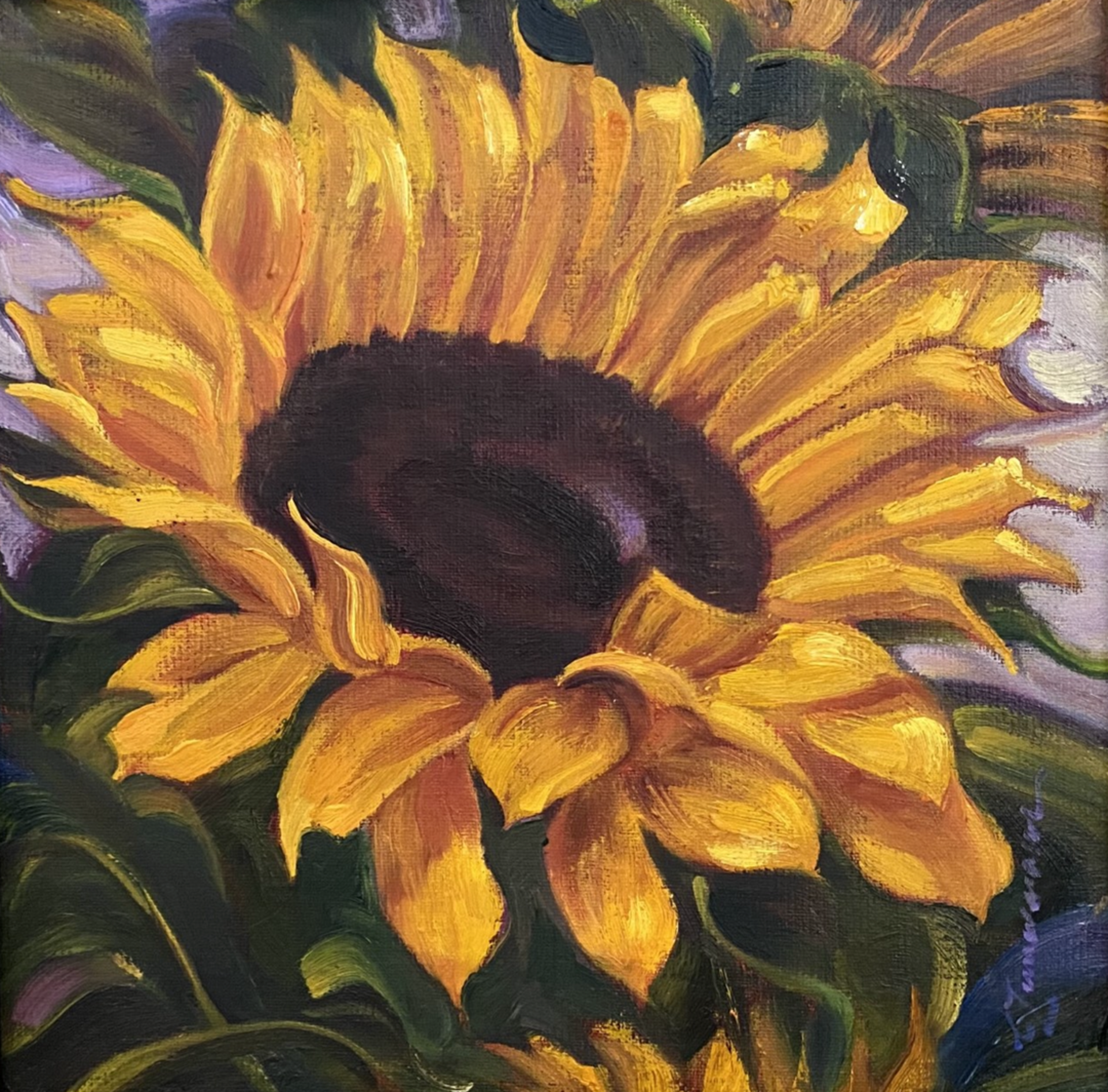 Siena Sunflower by Caroline Zimmermann