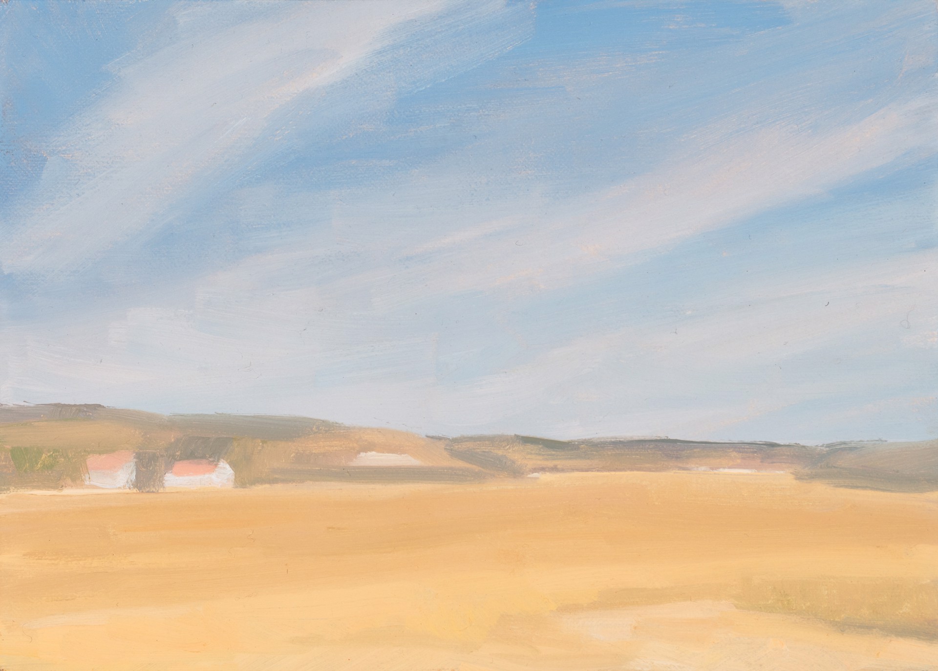 Pamet Marshes in May by Diana Horowitz