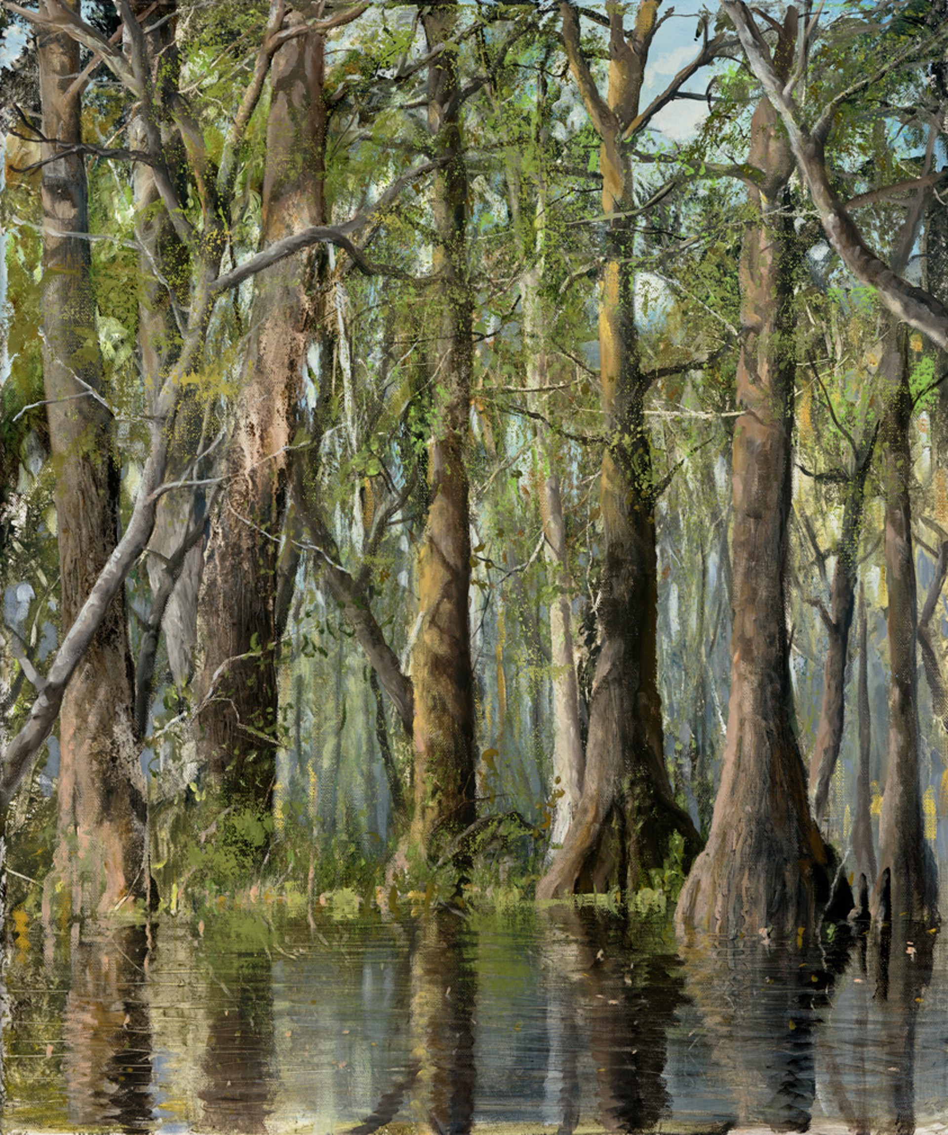 Cypress Trees by C. Ford Riley