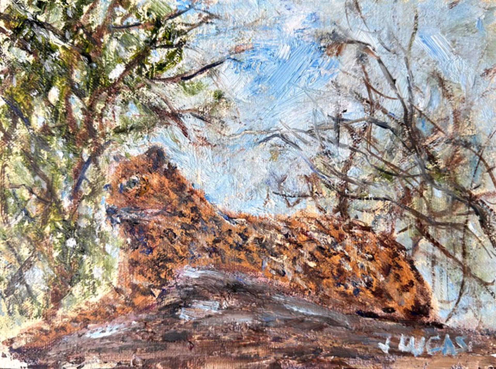 Leopard by Janet Lucas Beck