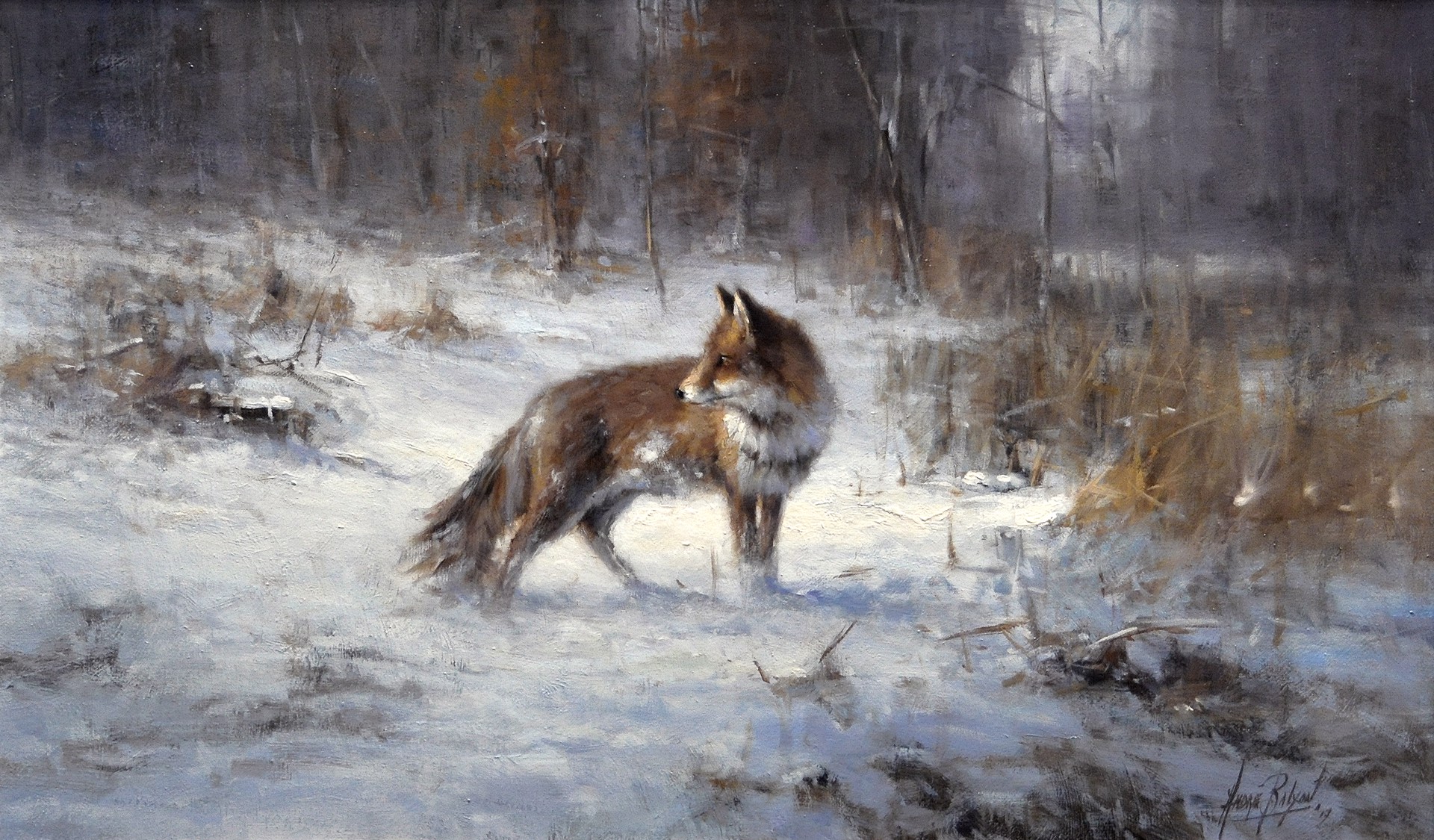The Red Fox by Andre Balyon