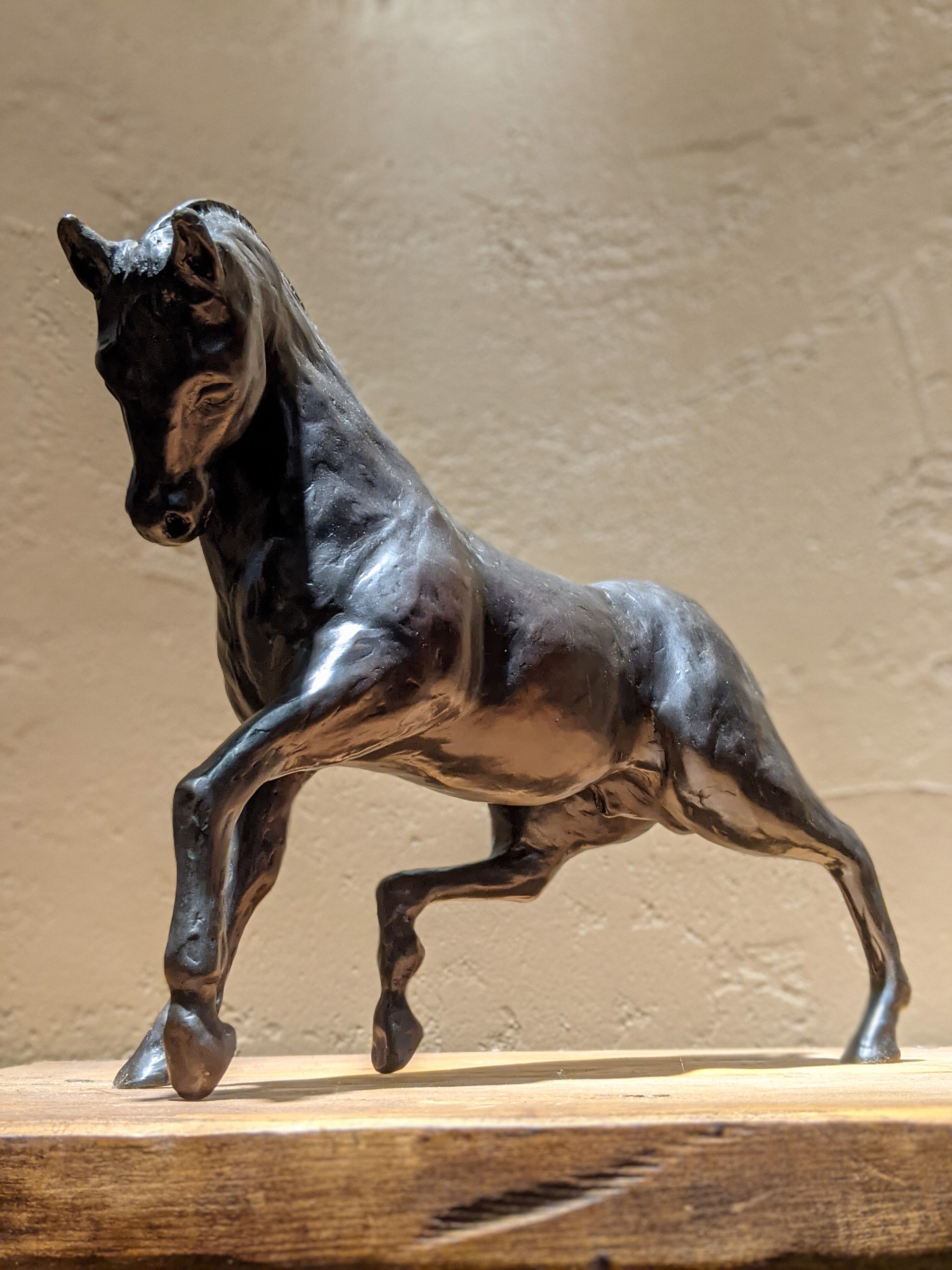 Arabian Stallion by Antony Corso