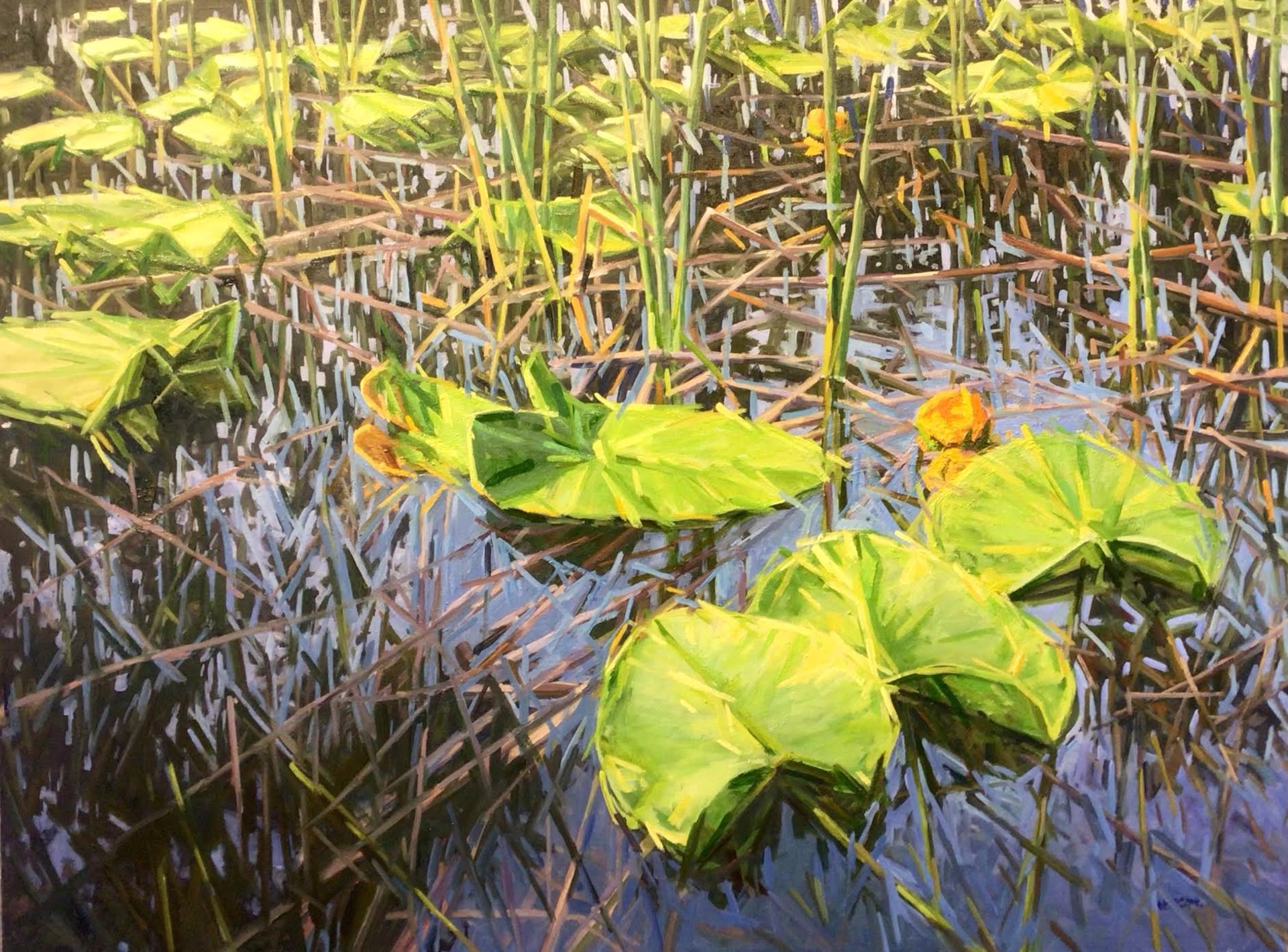 Buck Lake Lilies by Rod Weagant